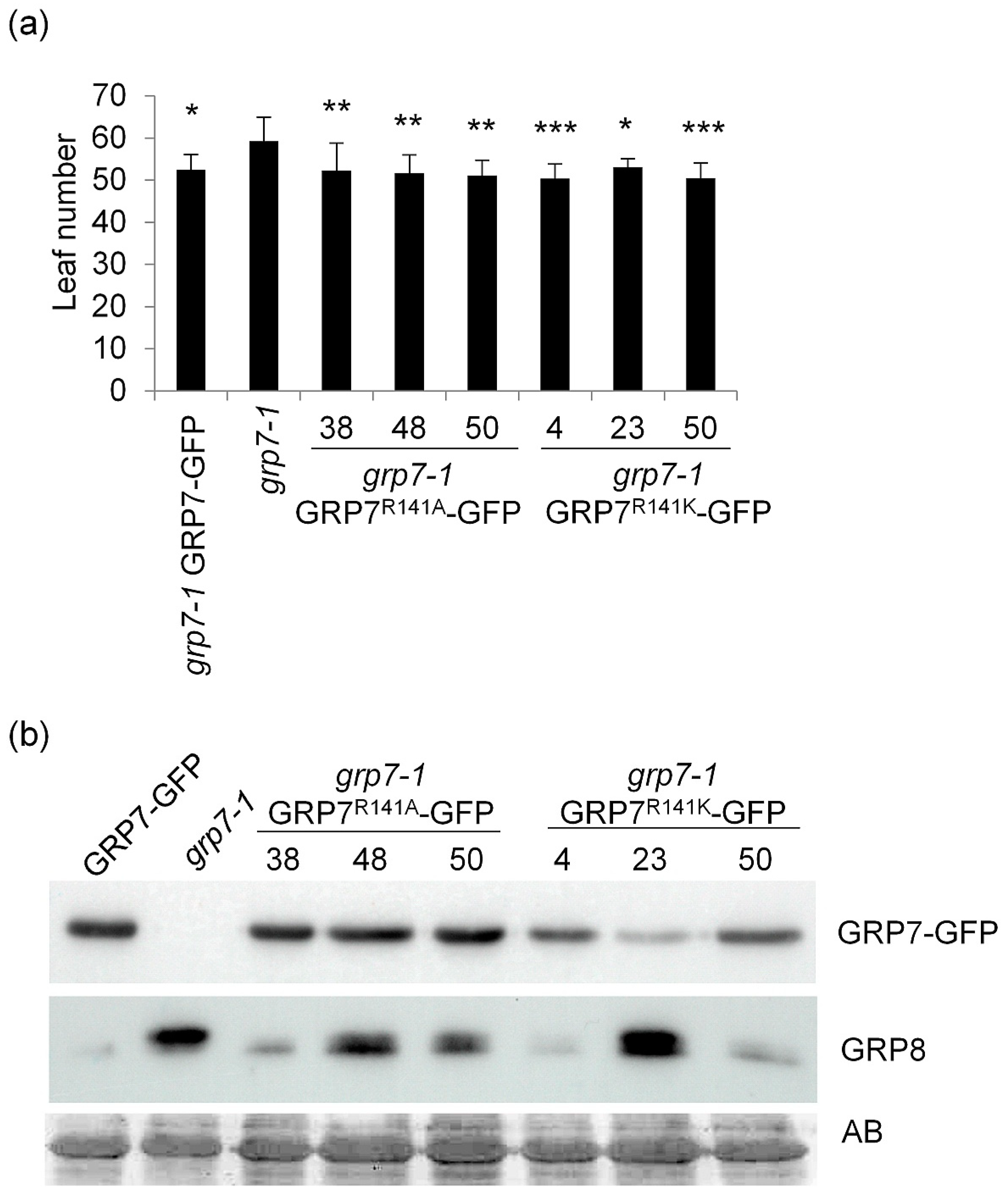 Plants 13 02771 g002