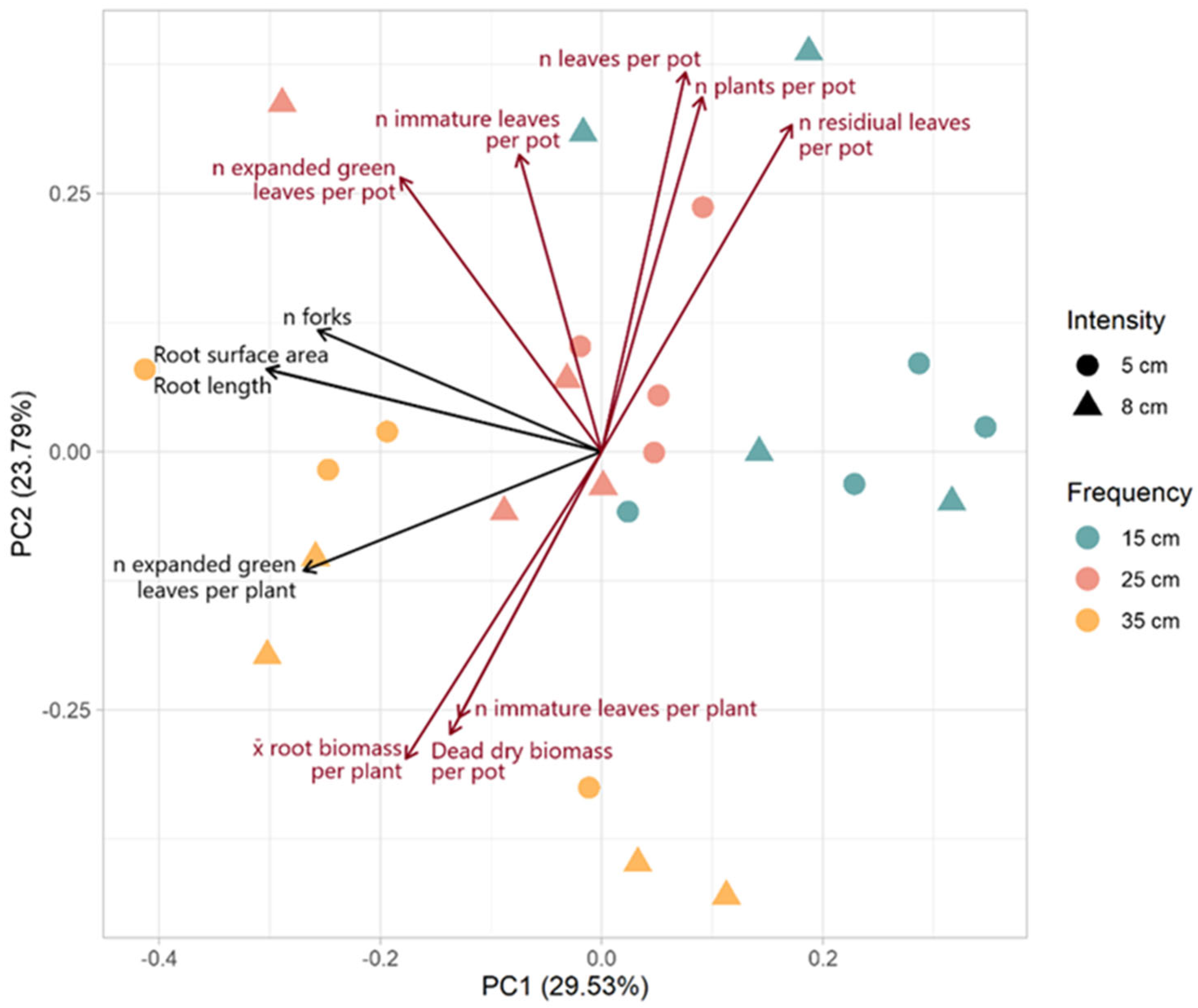 Plants 13 02773 g005