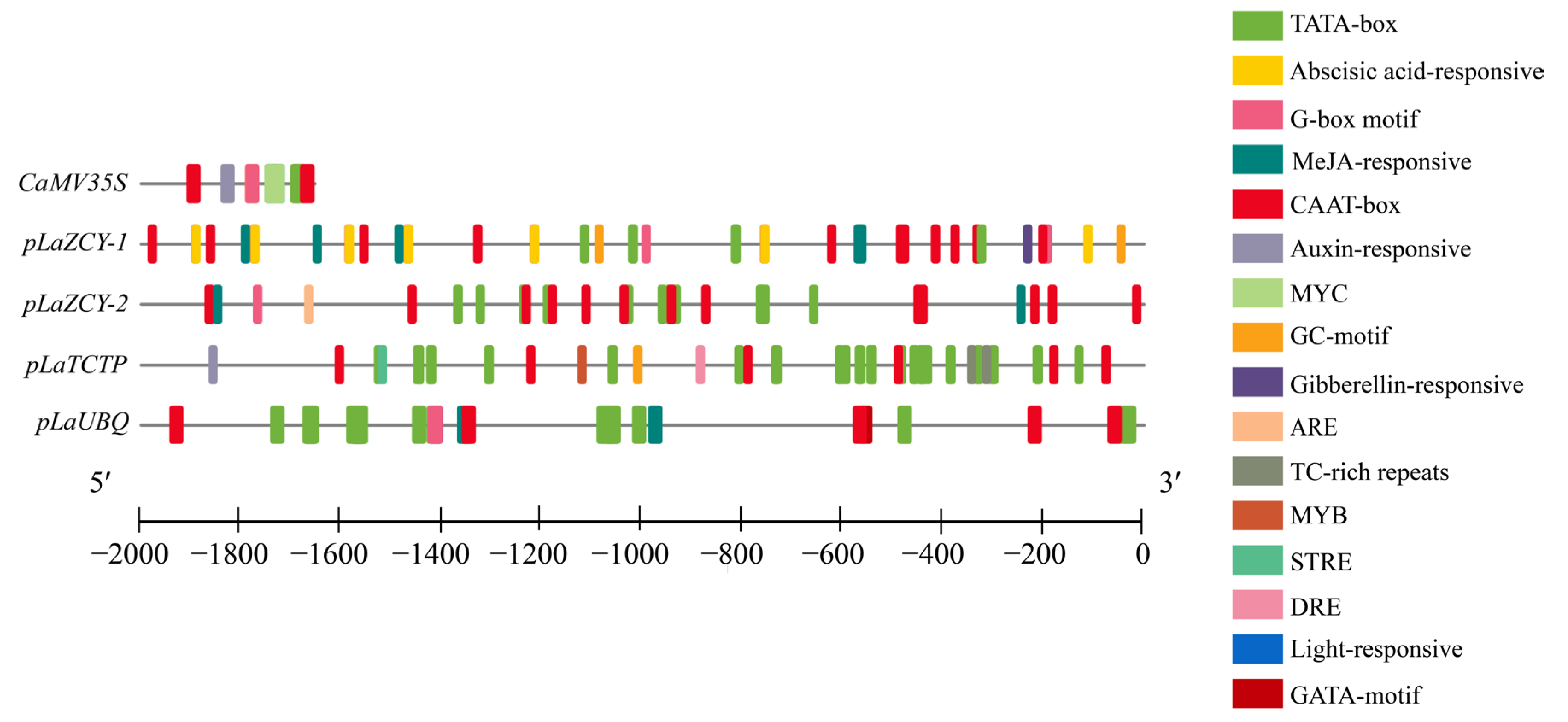 Plants 13 02777 g002