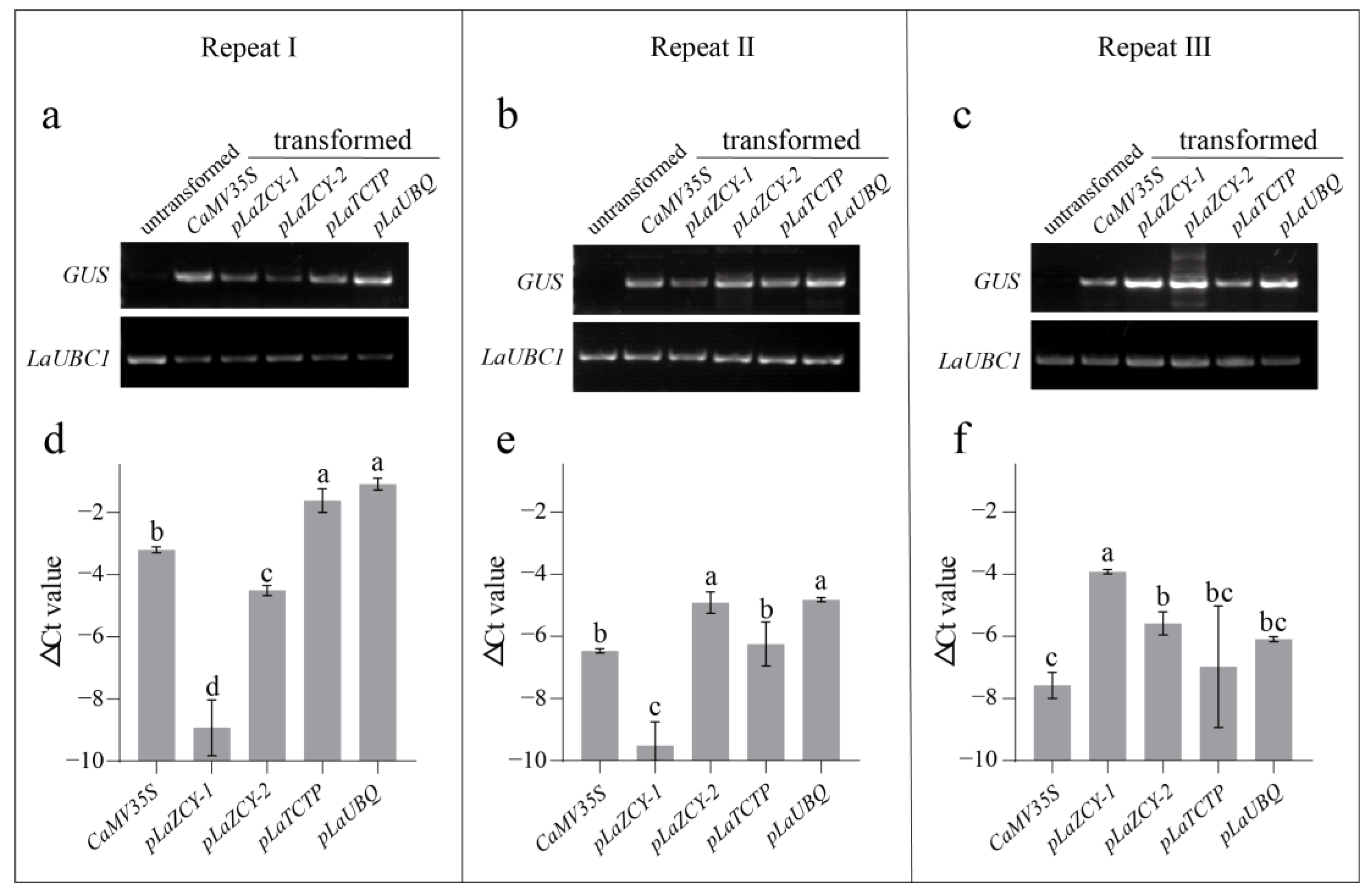 Plants 13 02777 g003