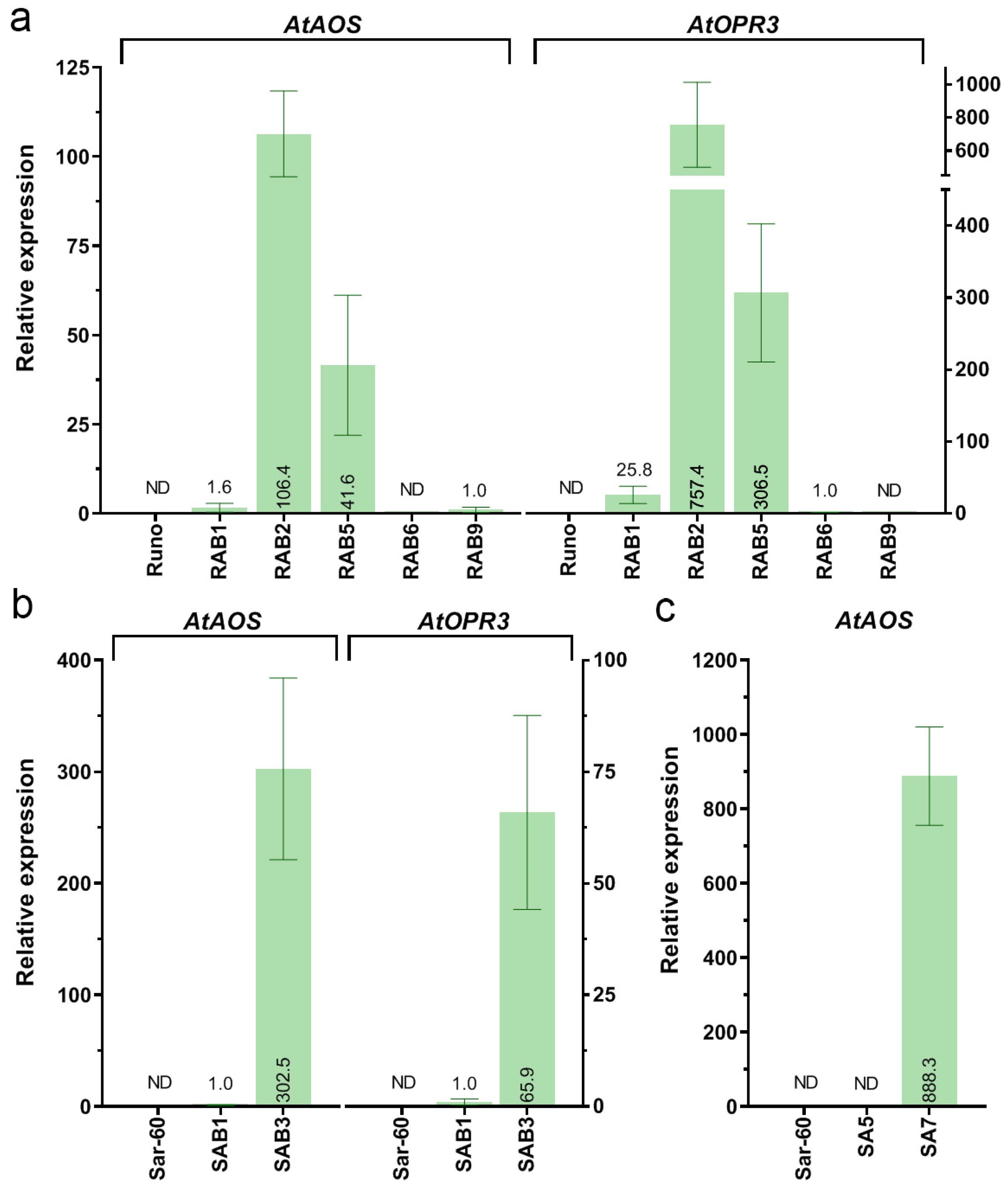 Plants 13 02781 g002