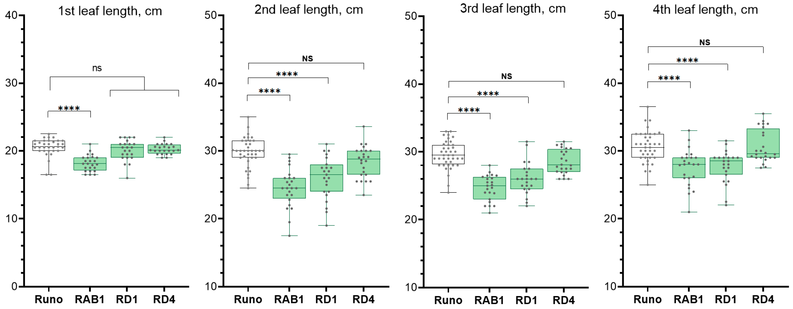 Plants 13 02781 g005