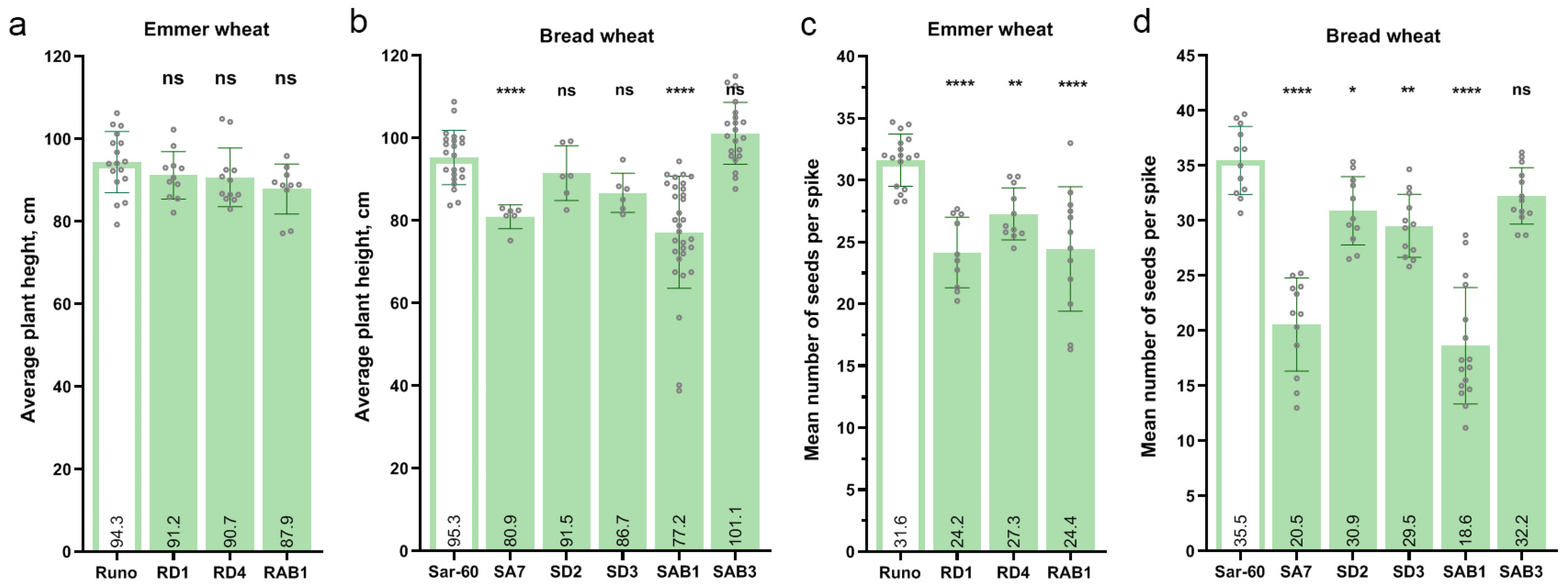 Plants 13 02781 g008