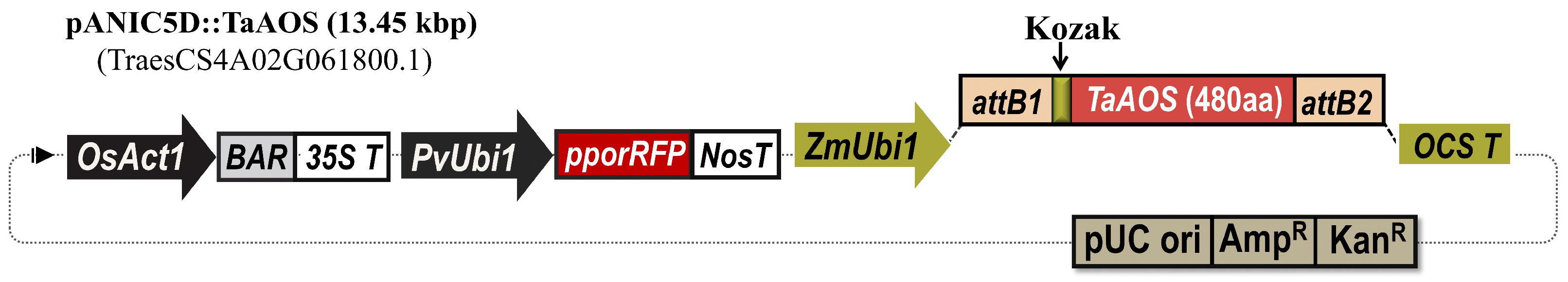 Plants 13 02781 g009