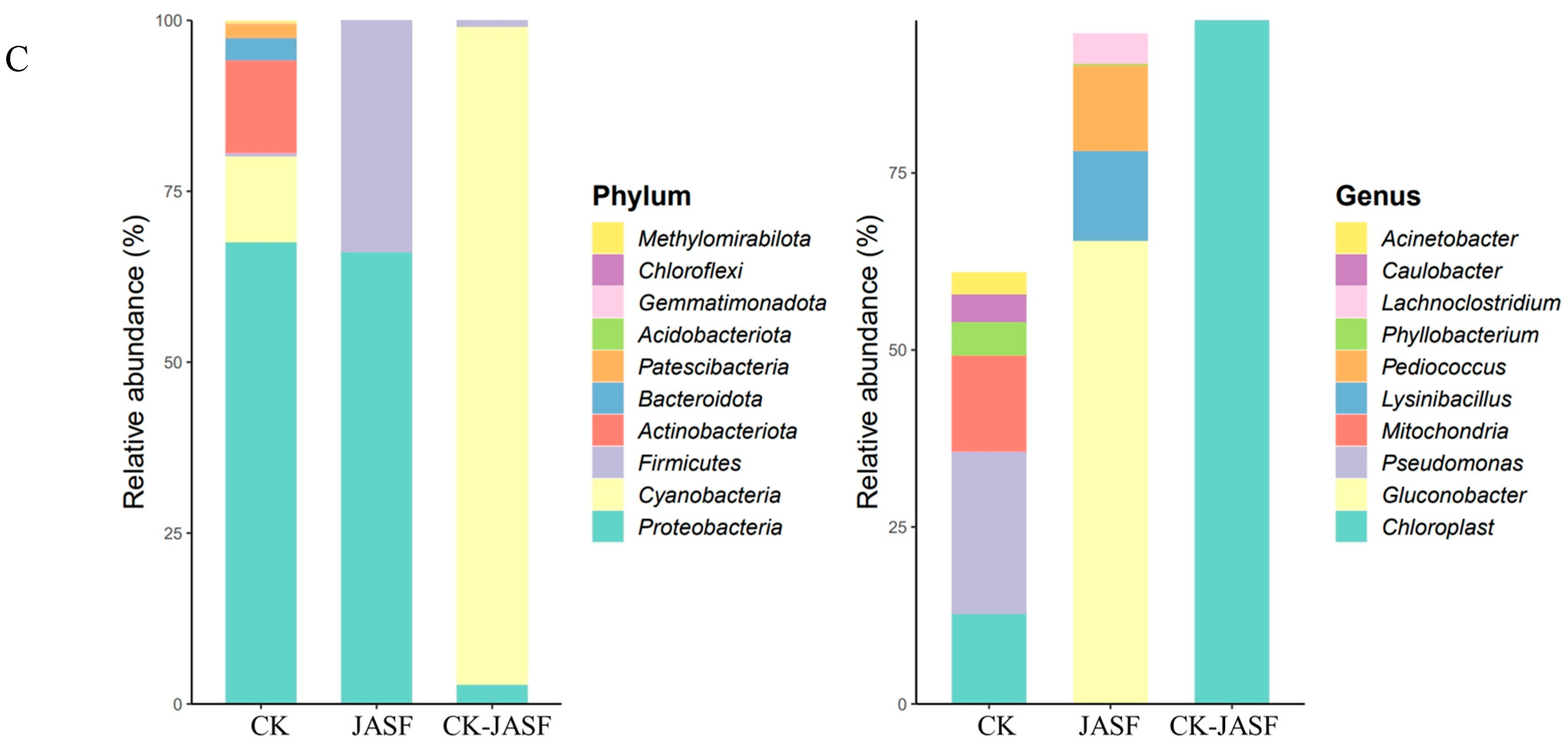 Plants 13 02782 g001b
