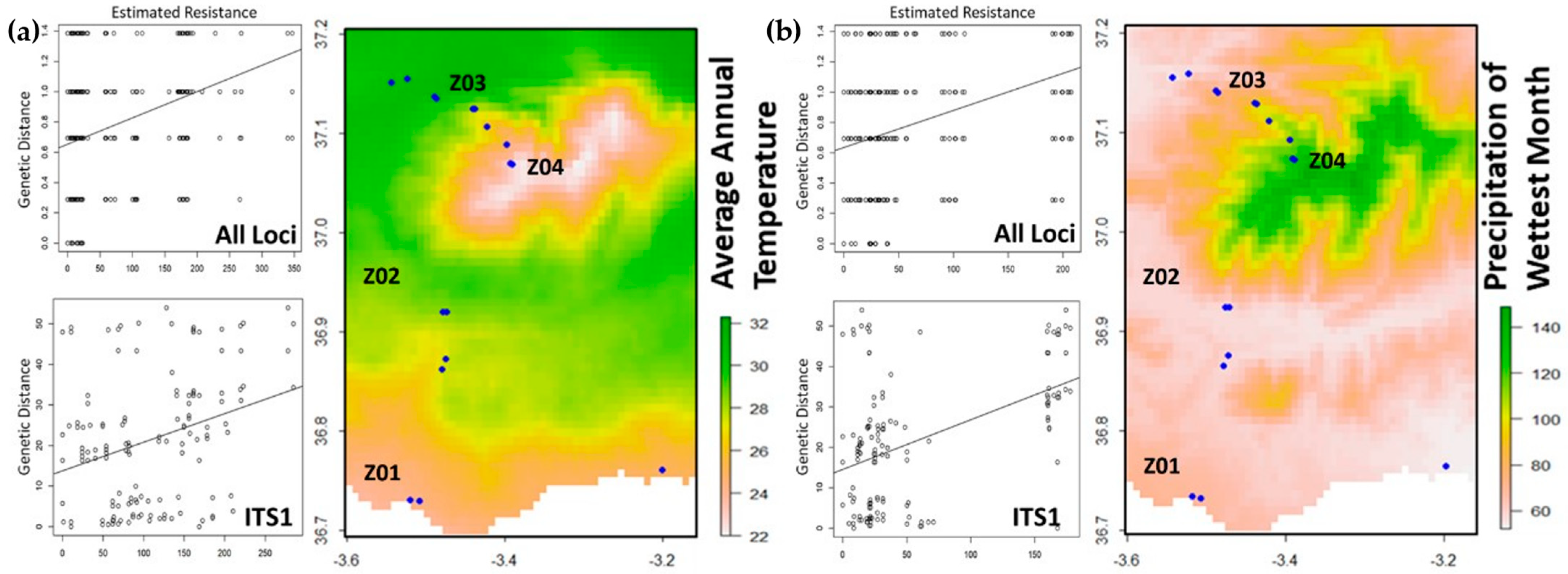 Plants 13 02785 g004