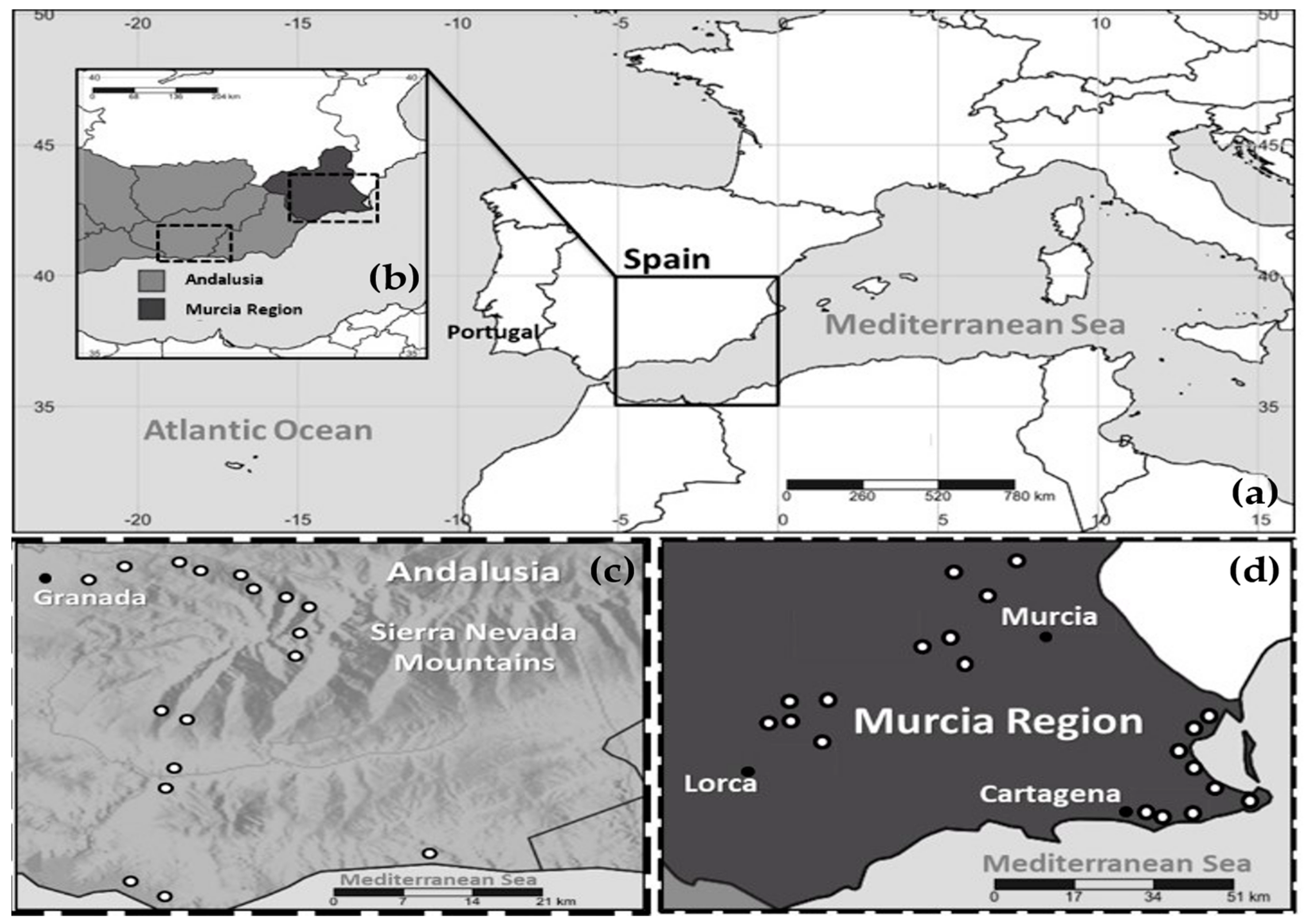 Plants 13 02785 g005