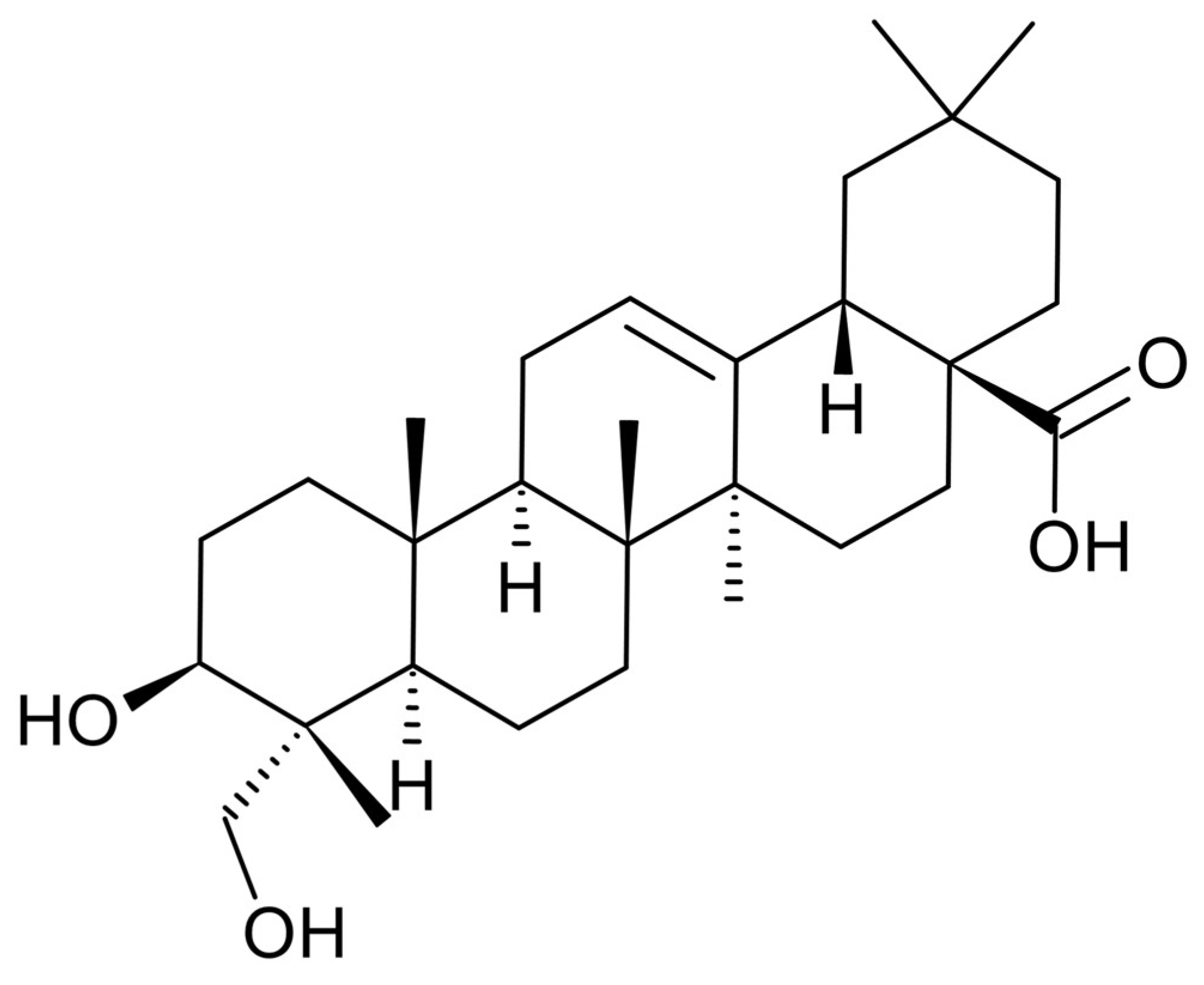 Plants 13 02789 g001