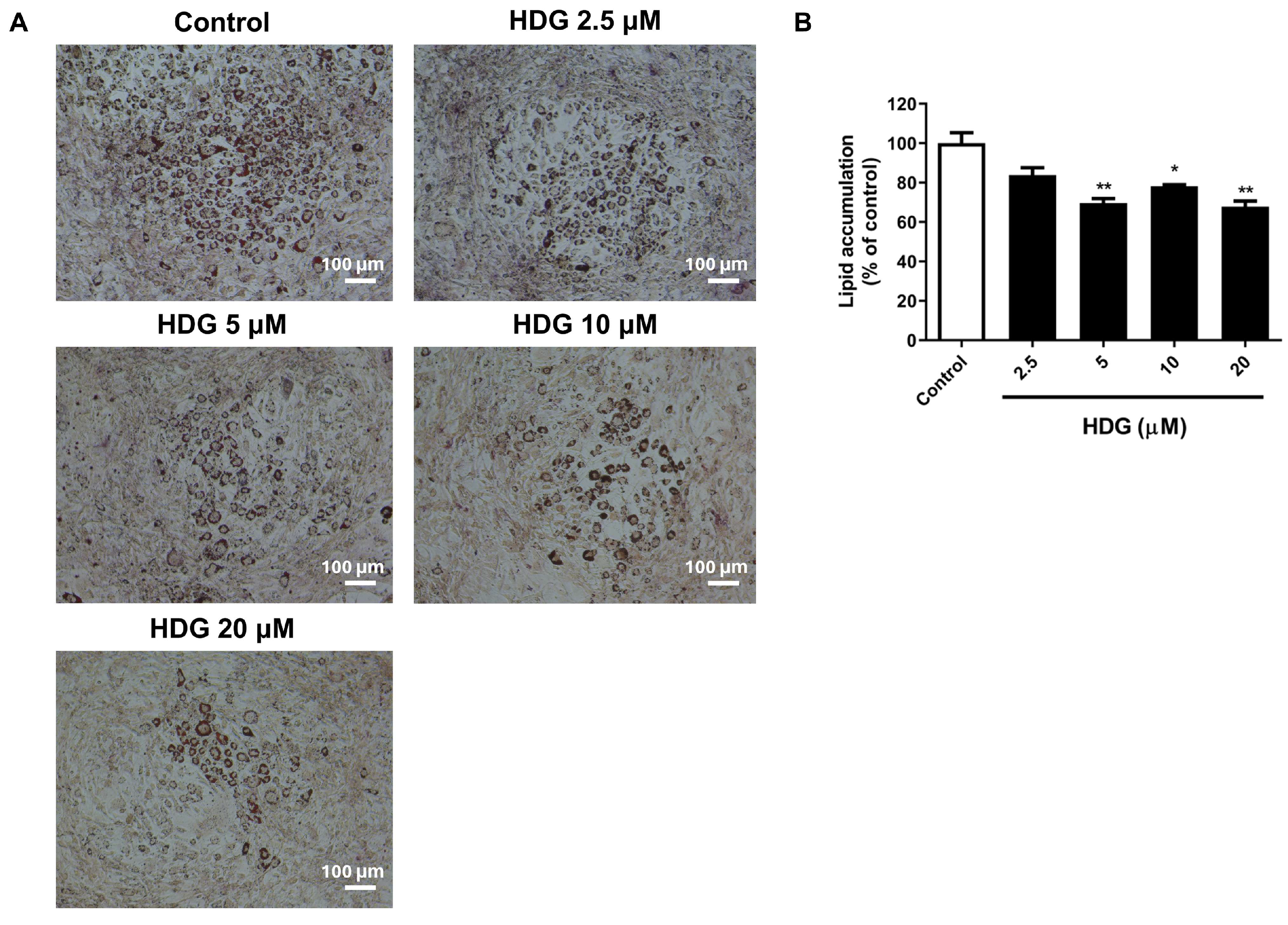 Plants 13 02789 g003