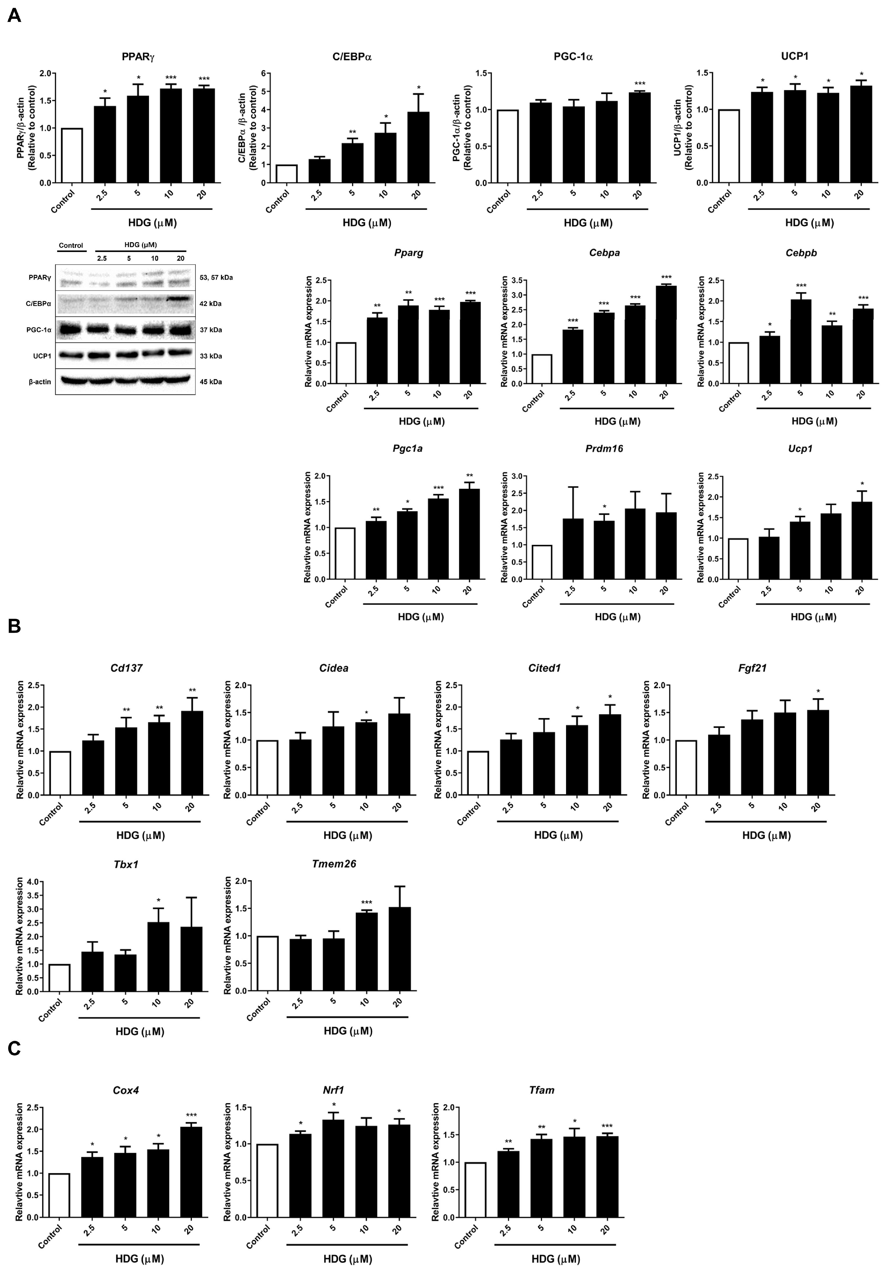 Plants 13 02789 g004