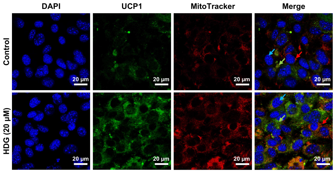 Plants 13 02789 g005