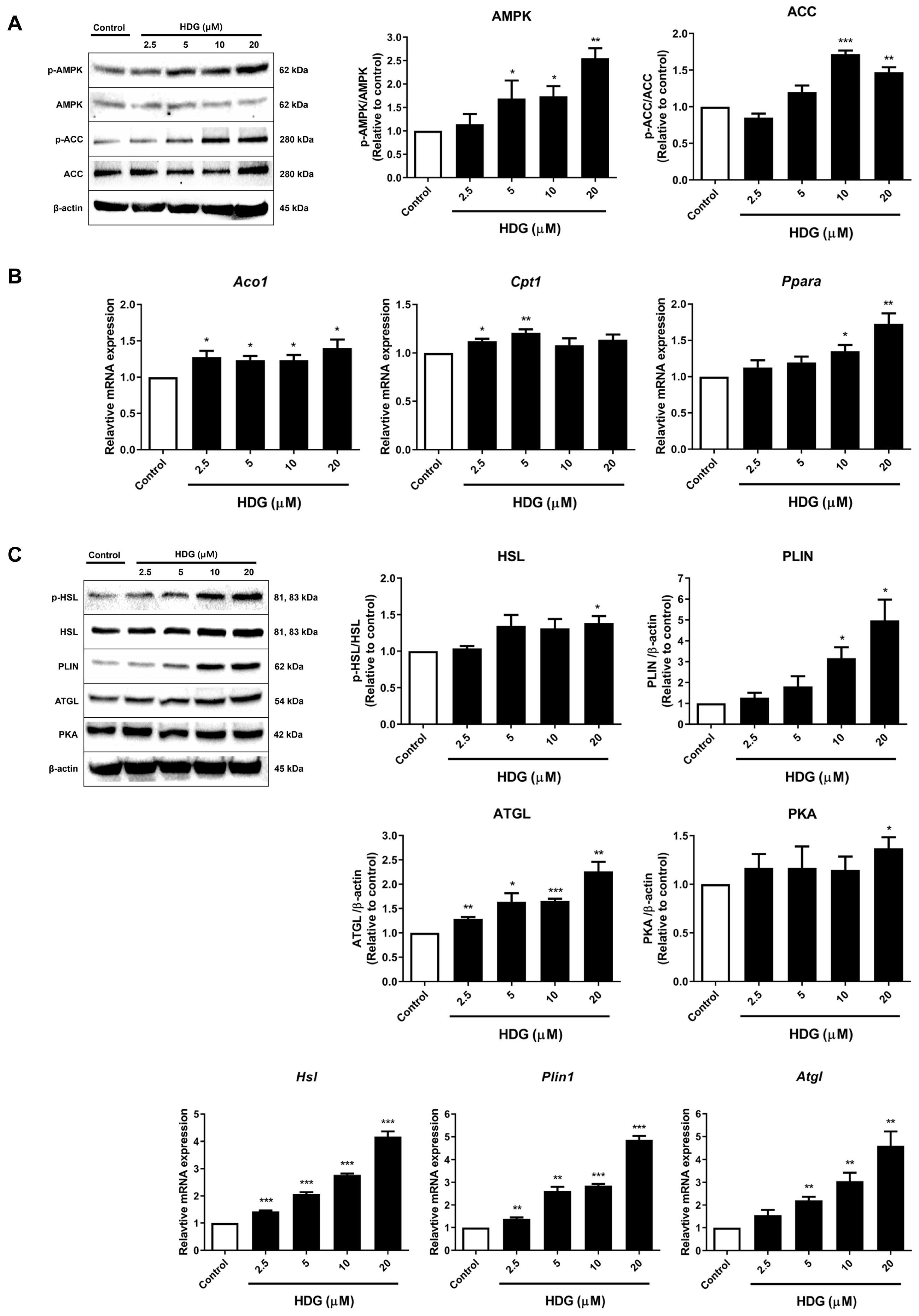 Plants 13 02789 g006