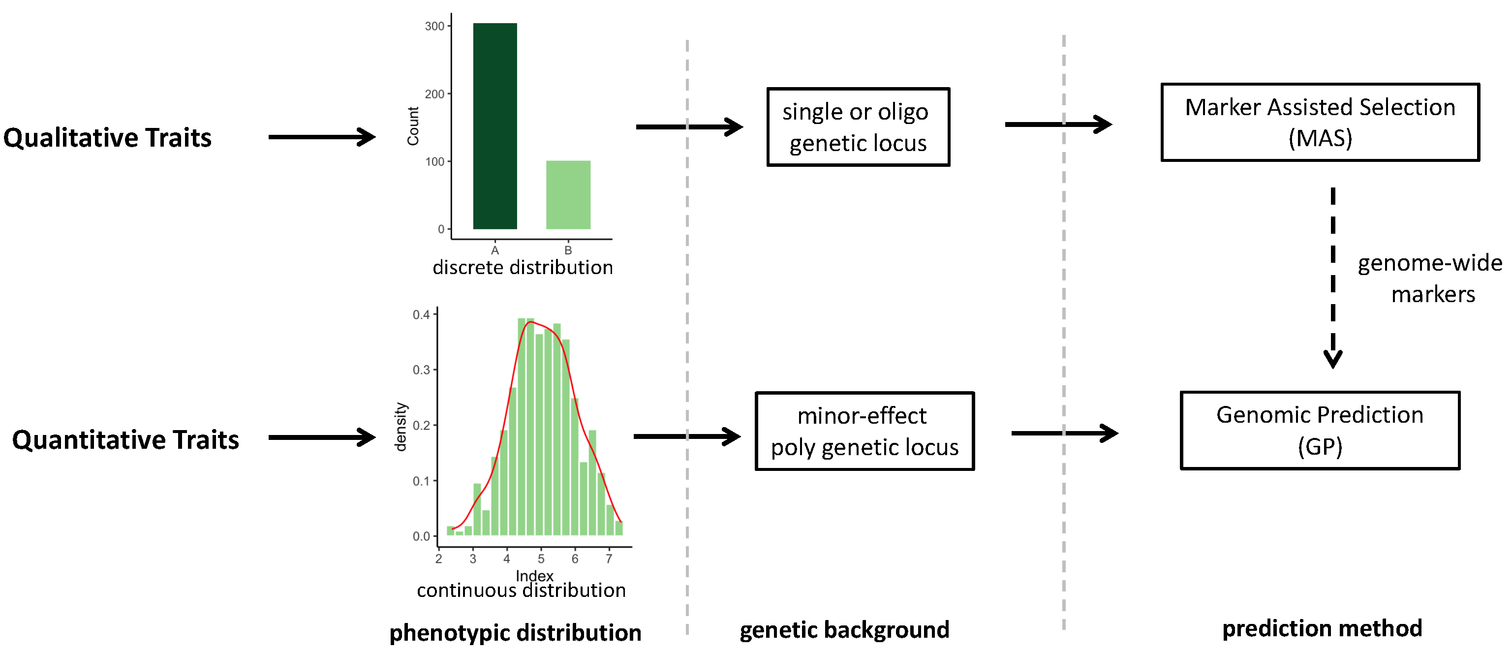 Hybrid Prediction in Horticulture Crop Breeding: Progress