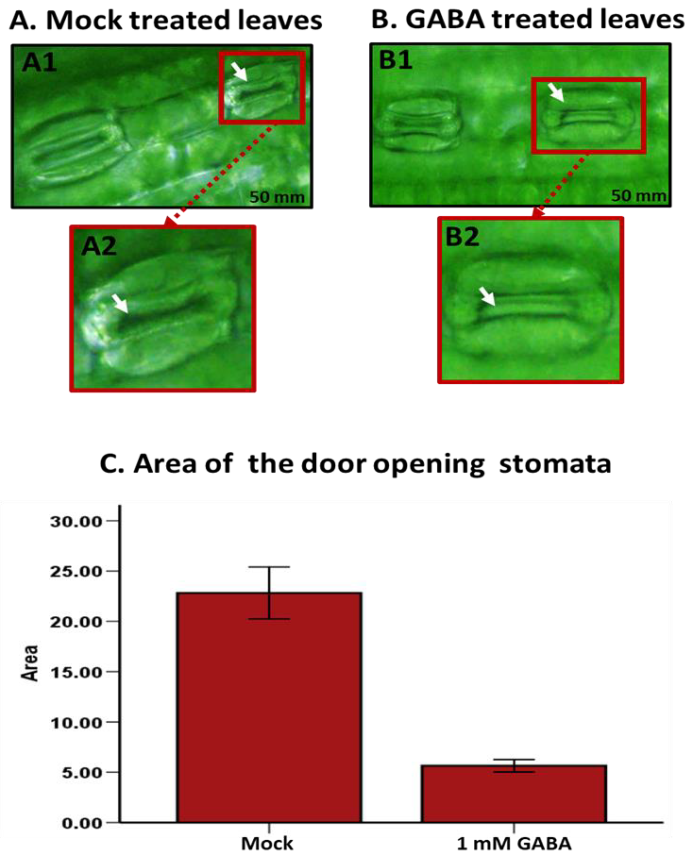 Plants 13 02792 g002 Plants 13 02792 g002