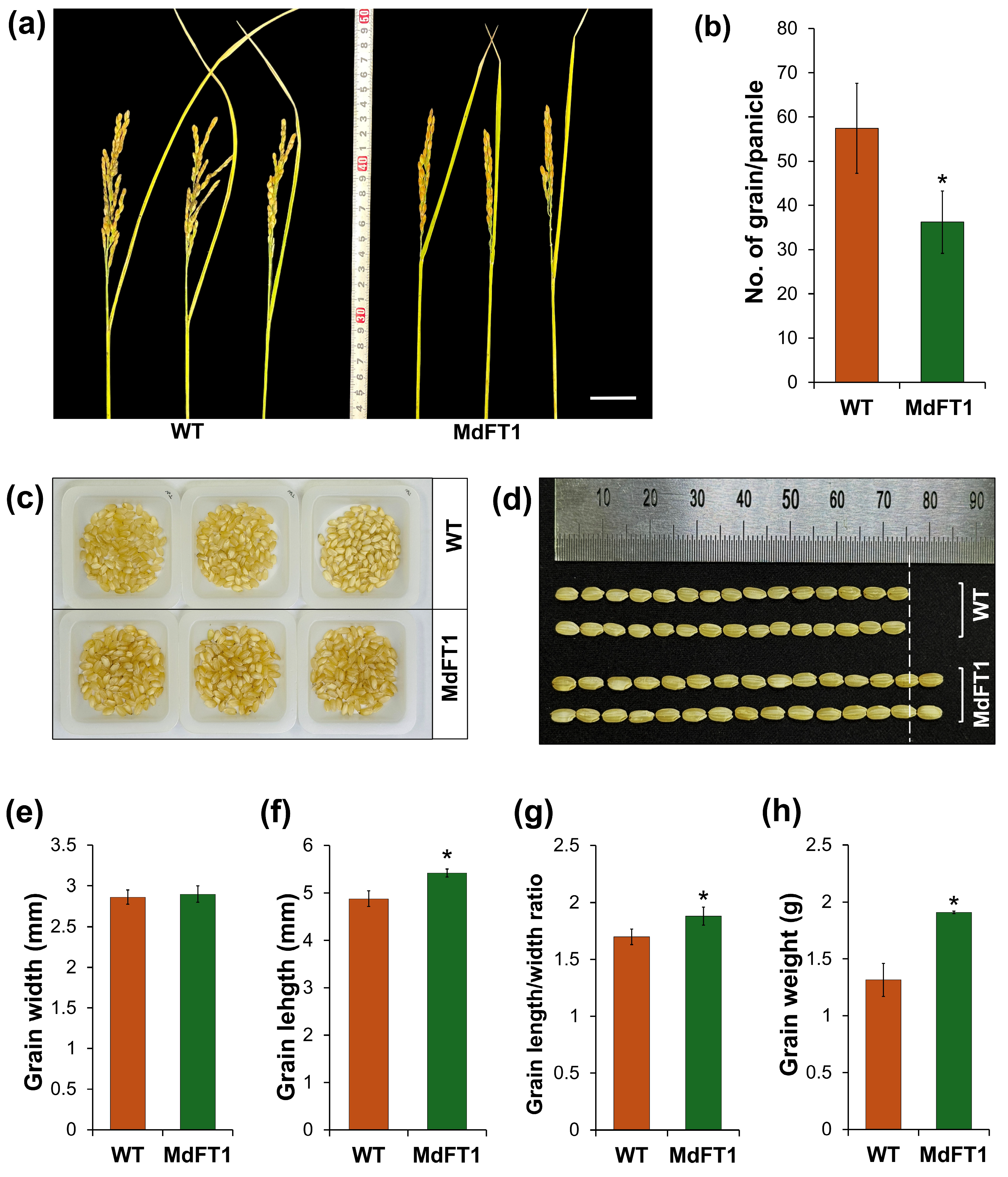 Plants 13 02803 g008