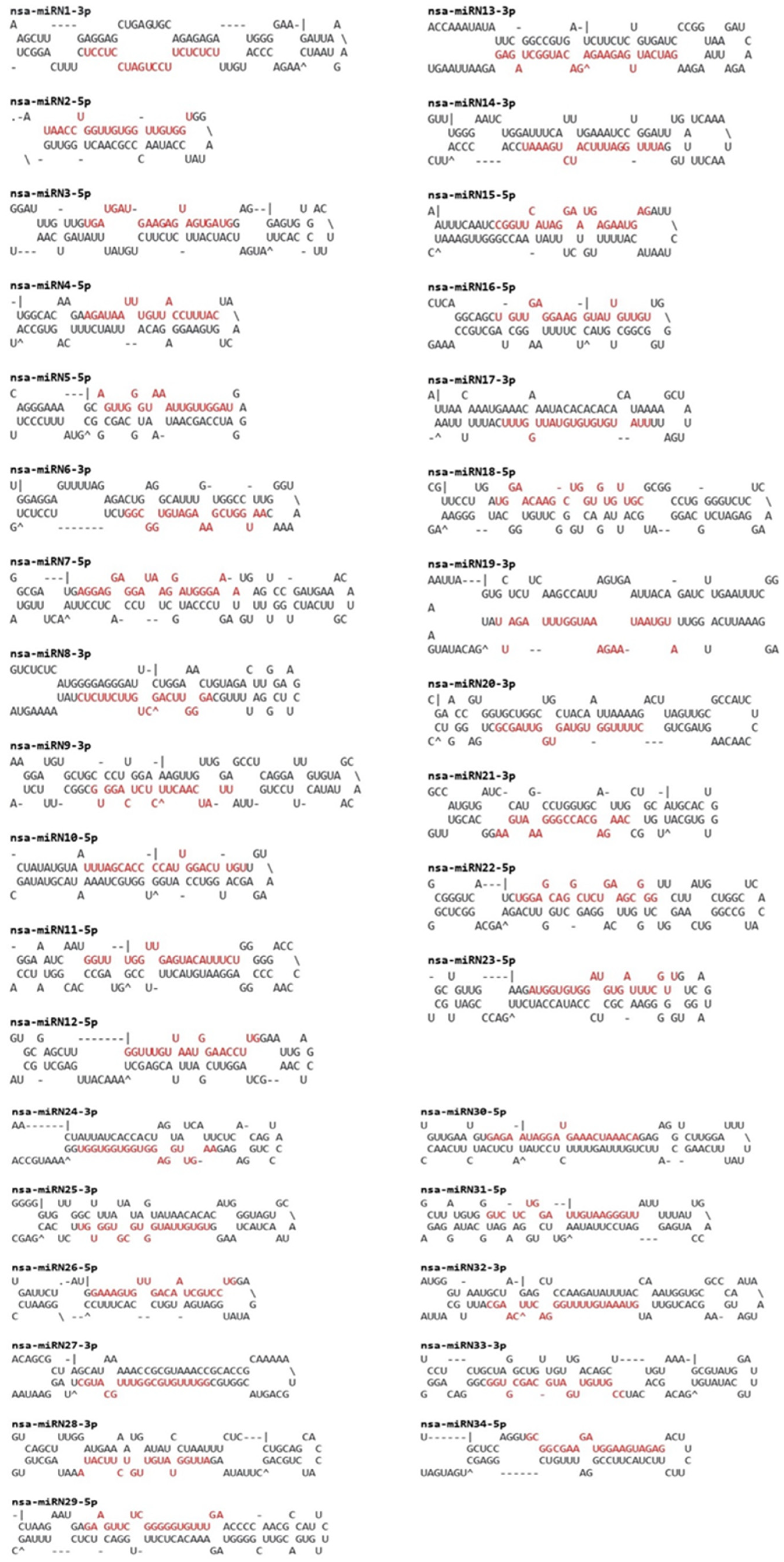 Plants 13 02806 g003 Plants 13 02806 g003