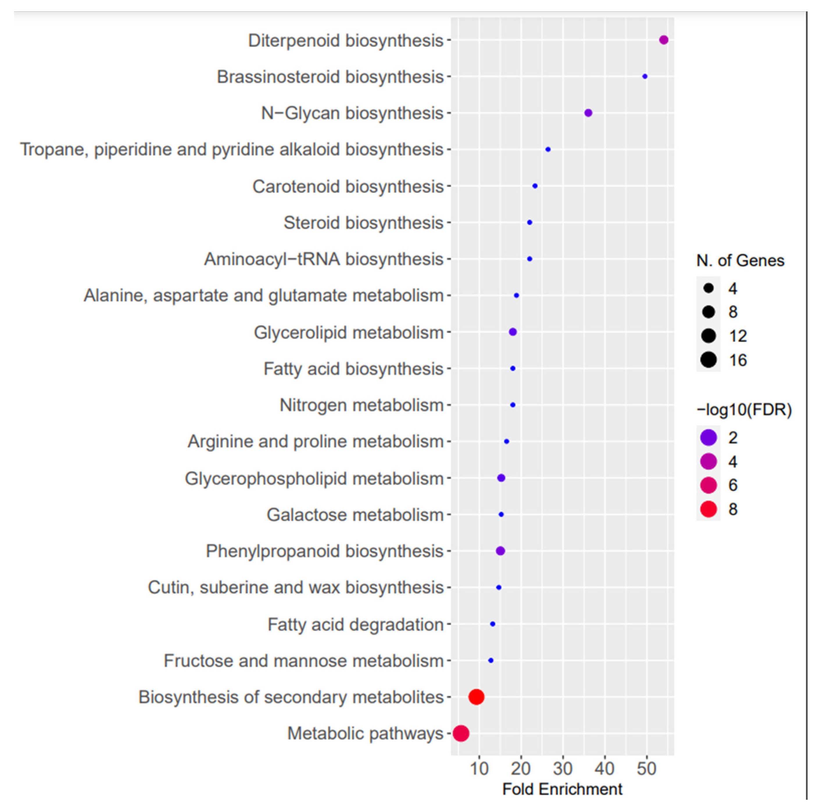 Plants 13 02806 g004 Plants 13 02806 g004