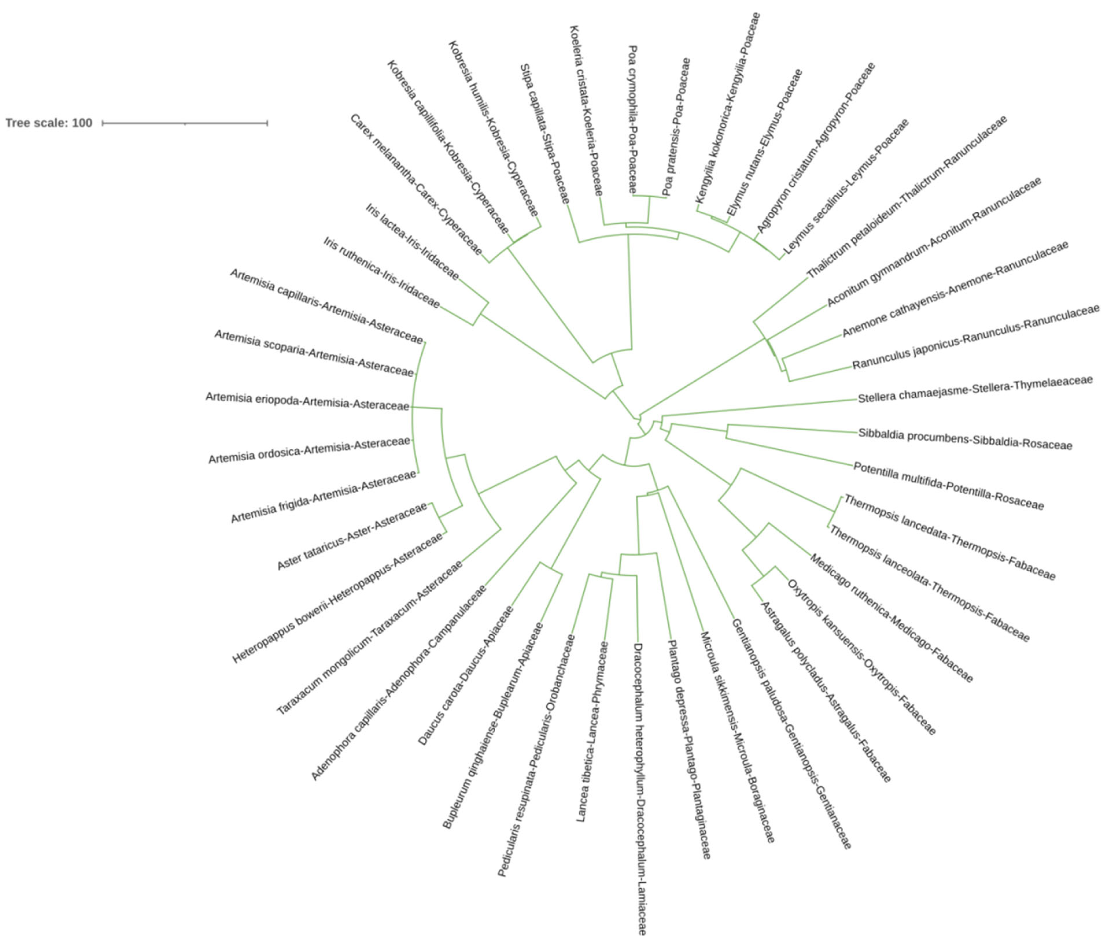 Plants 13 02809 g001 Plants 13 02809 g001