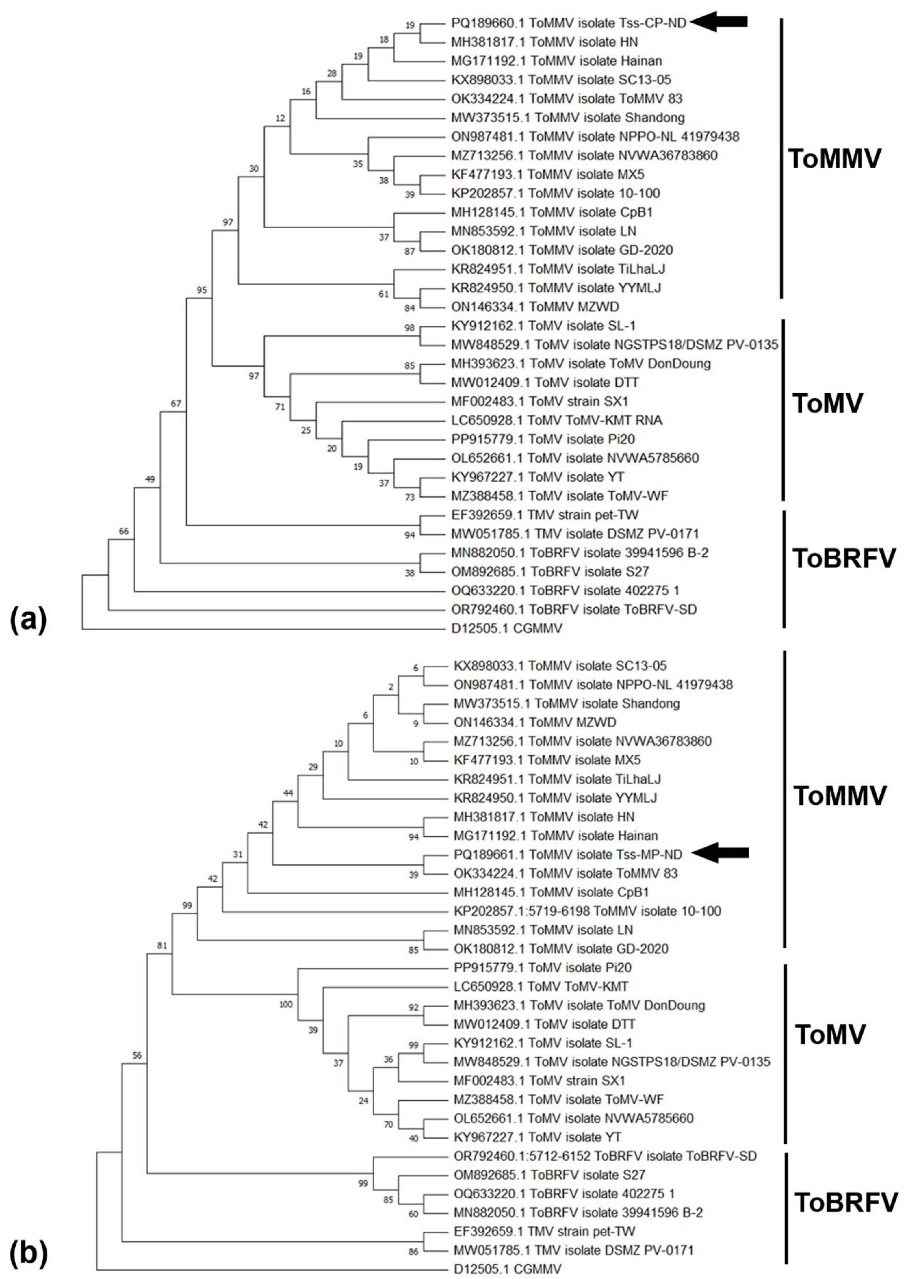 Plants 13 02811 g003