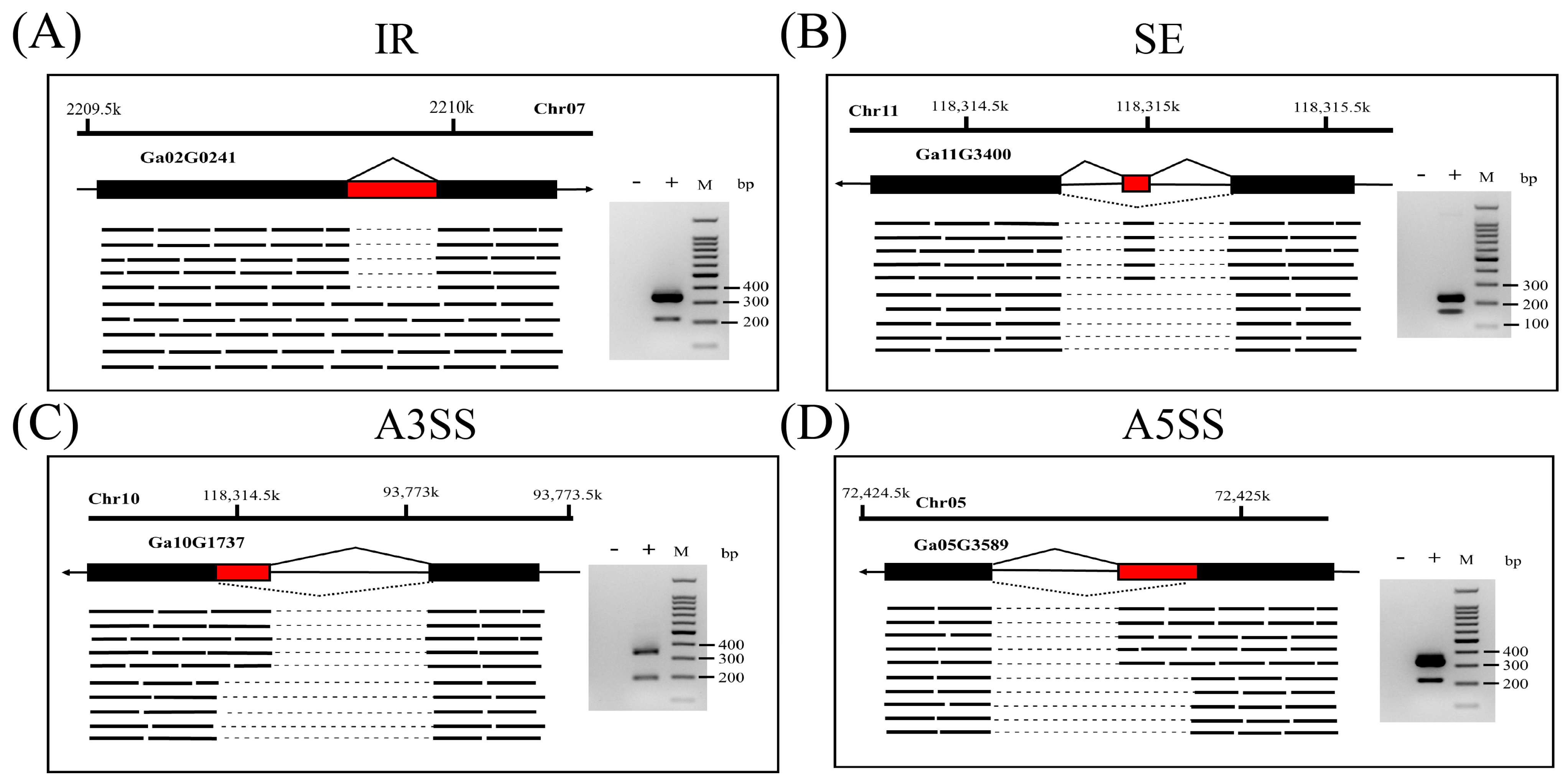 Plants 13 02816 g002