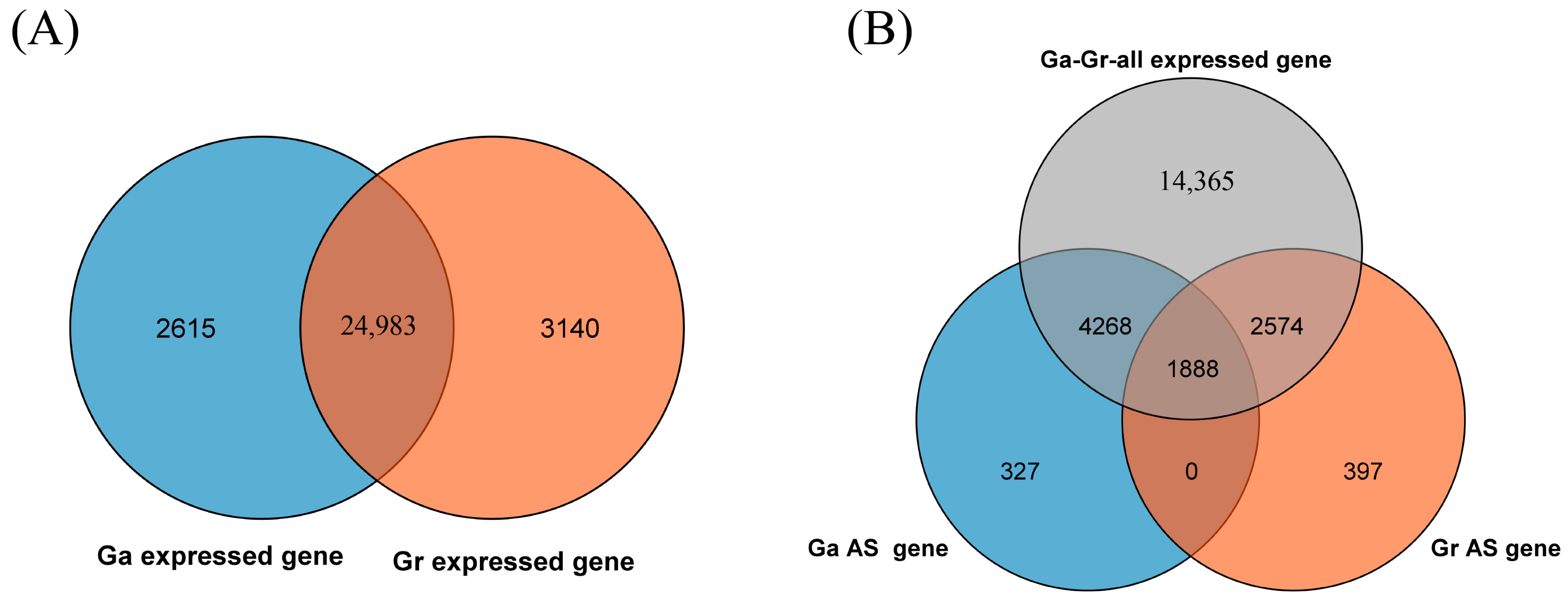 Plants 13 02816 g004