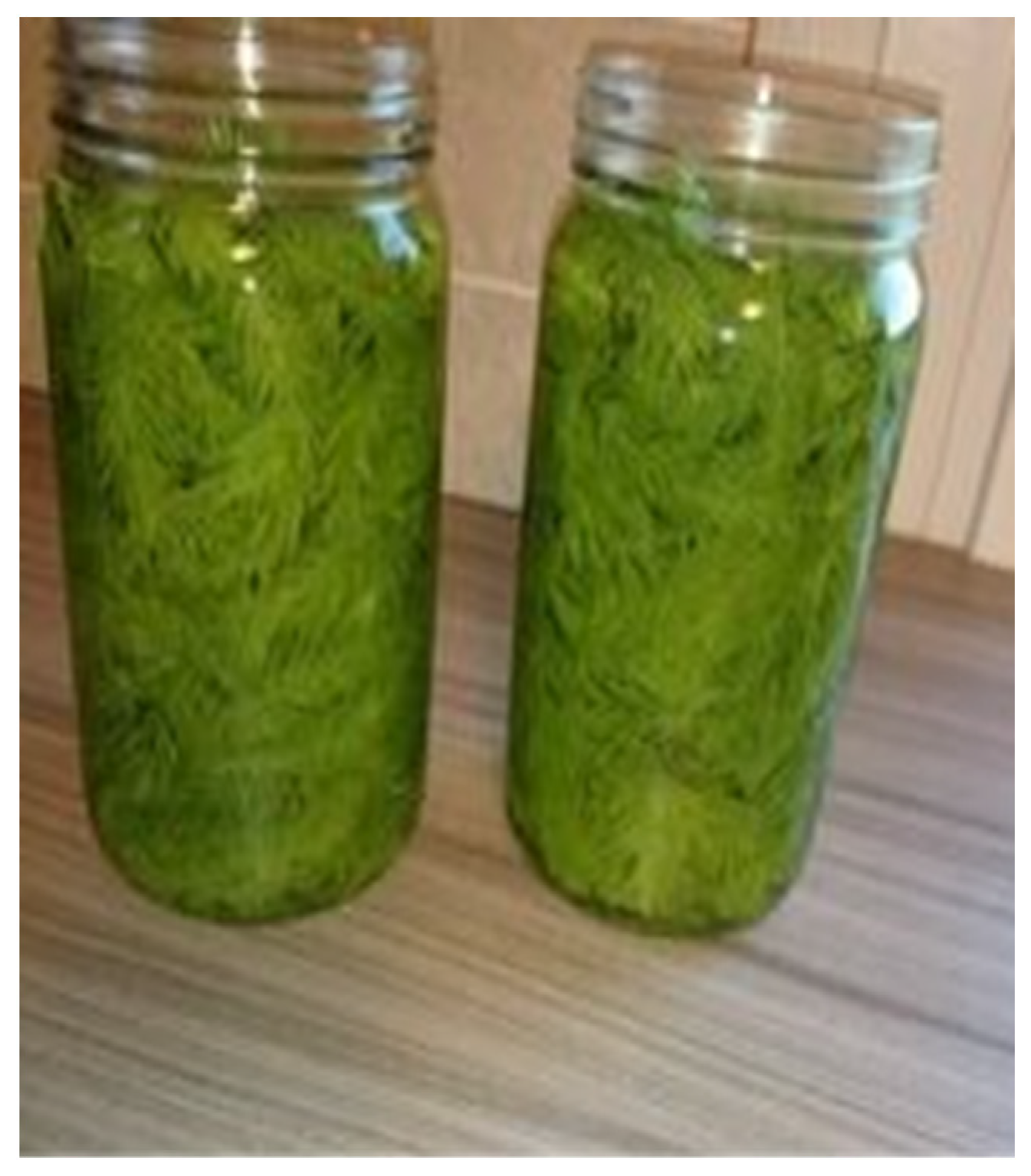 Plants 13 02821 g006