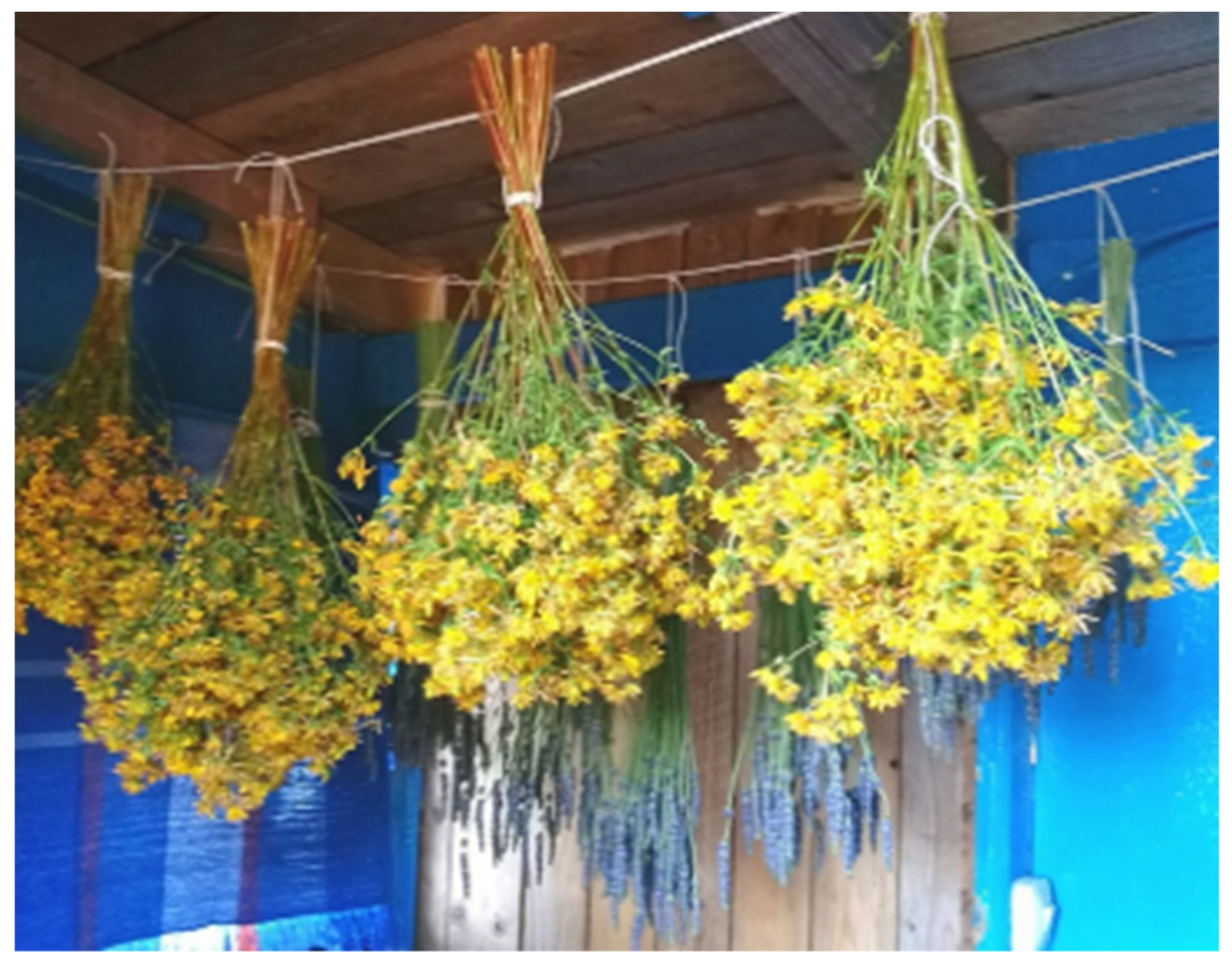 Plants 13 02821 g009