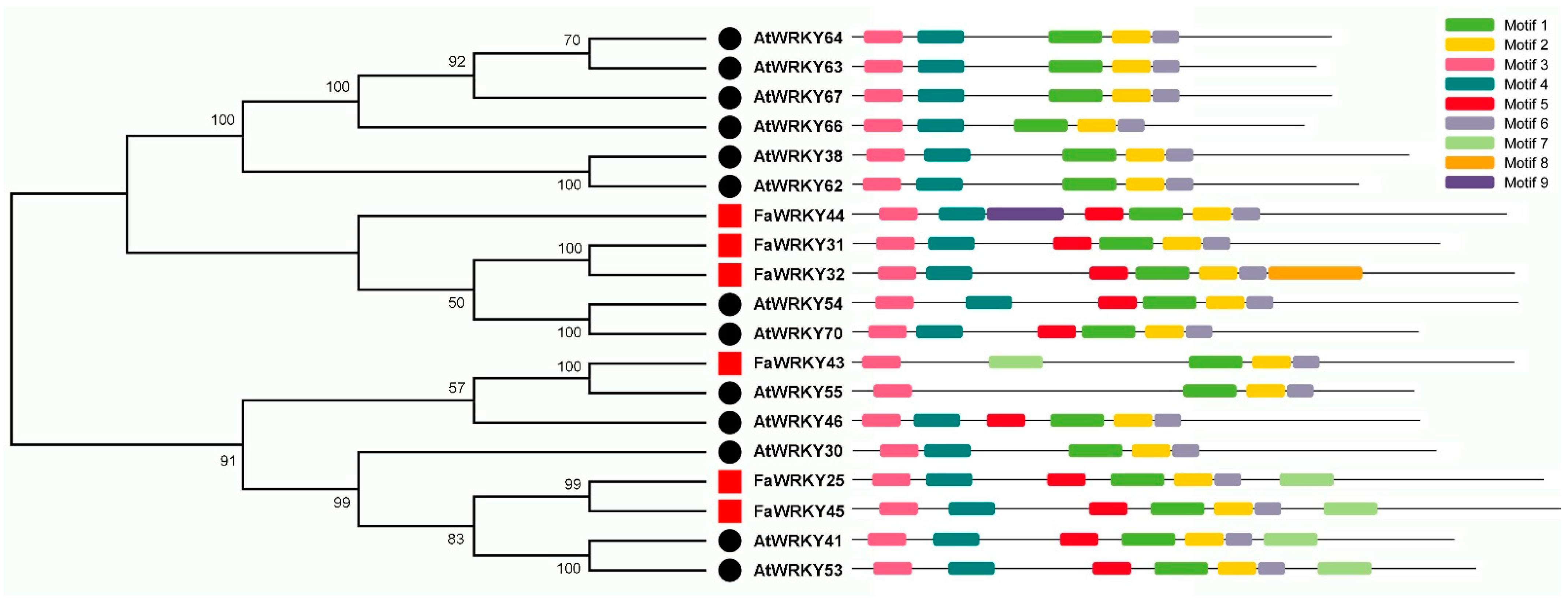Plants 13 02822 g001