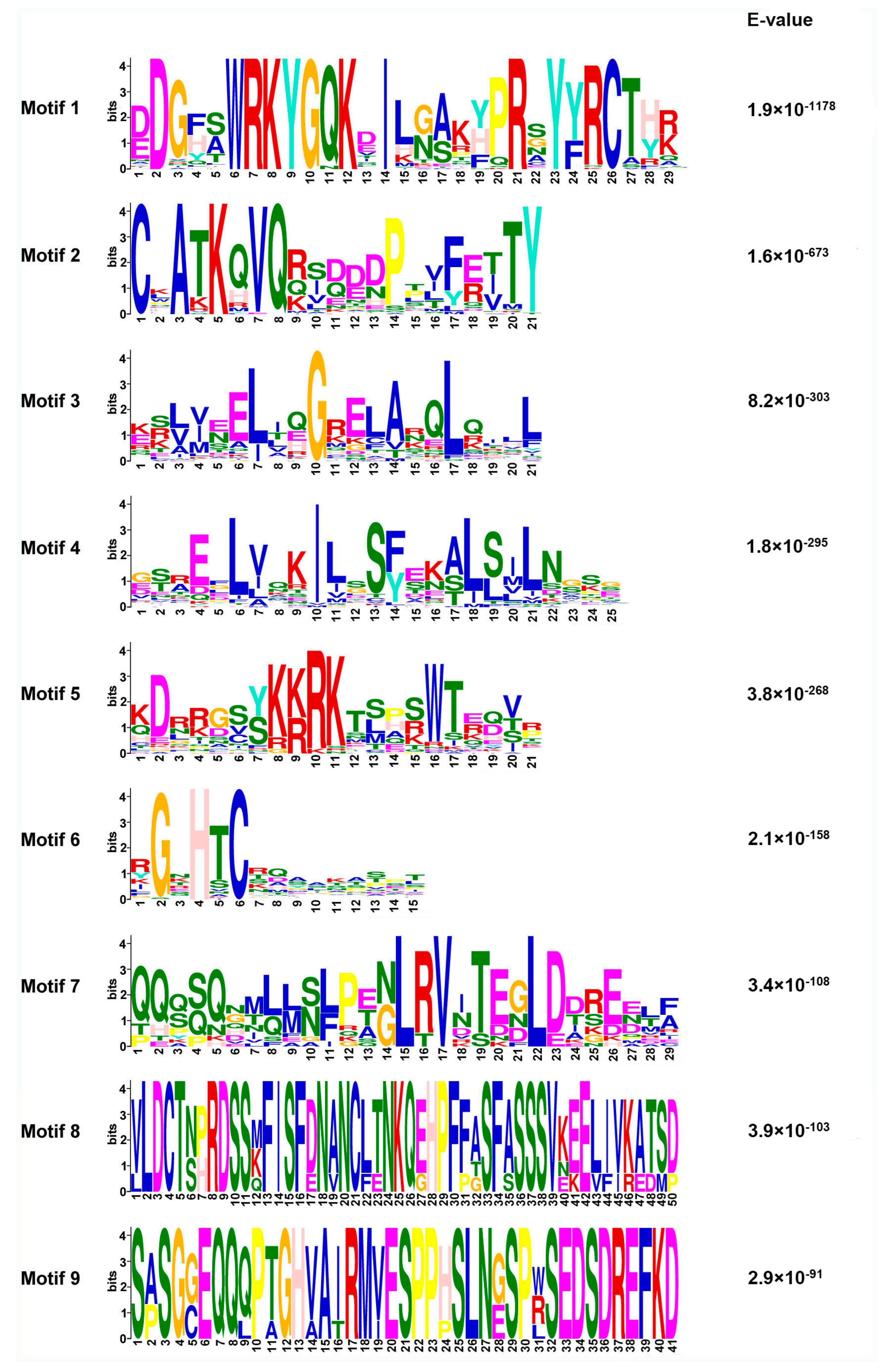 Plants 13 02822 g002