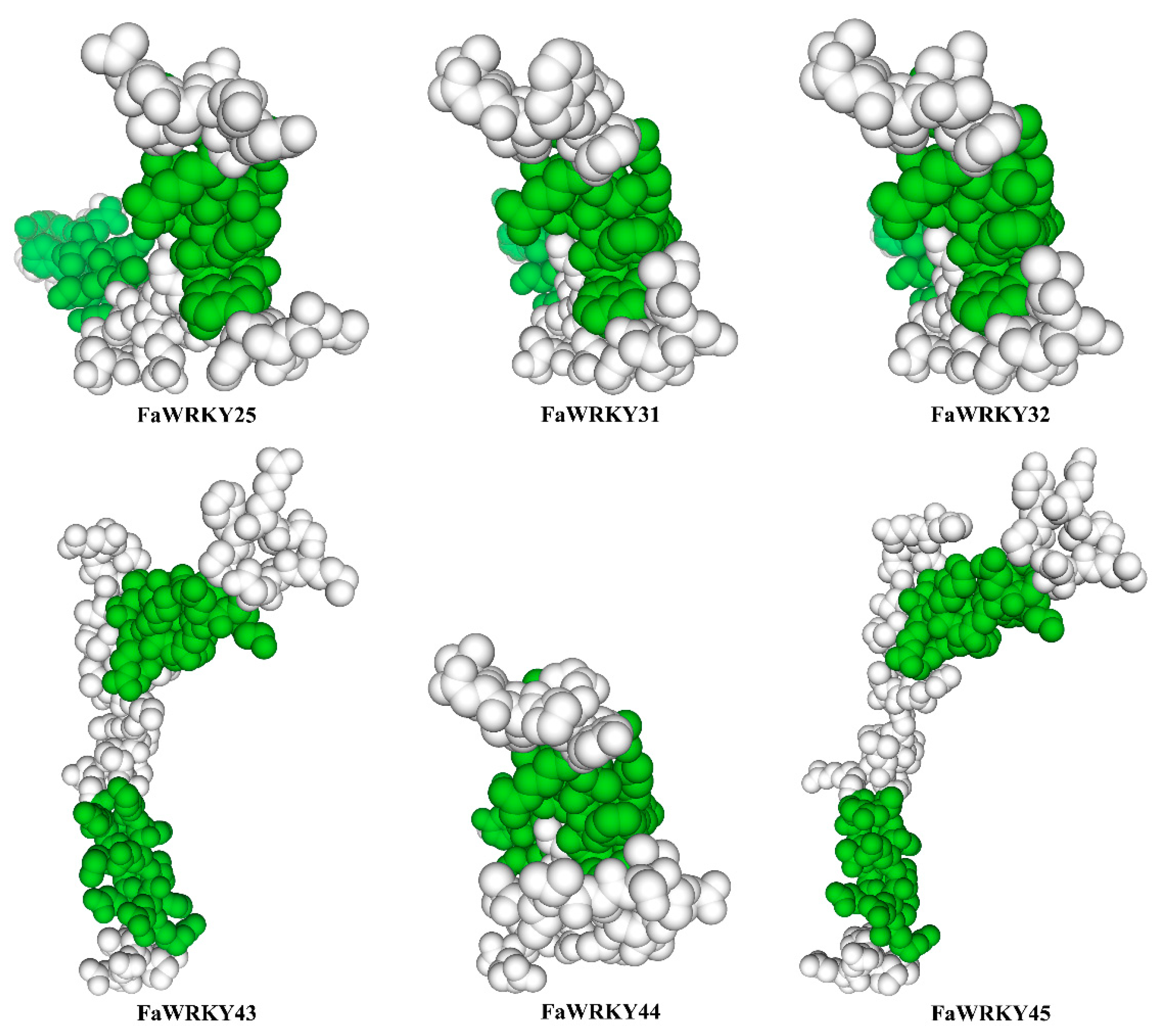 Plants 13 02822 g003