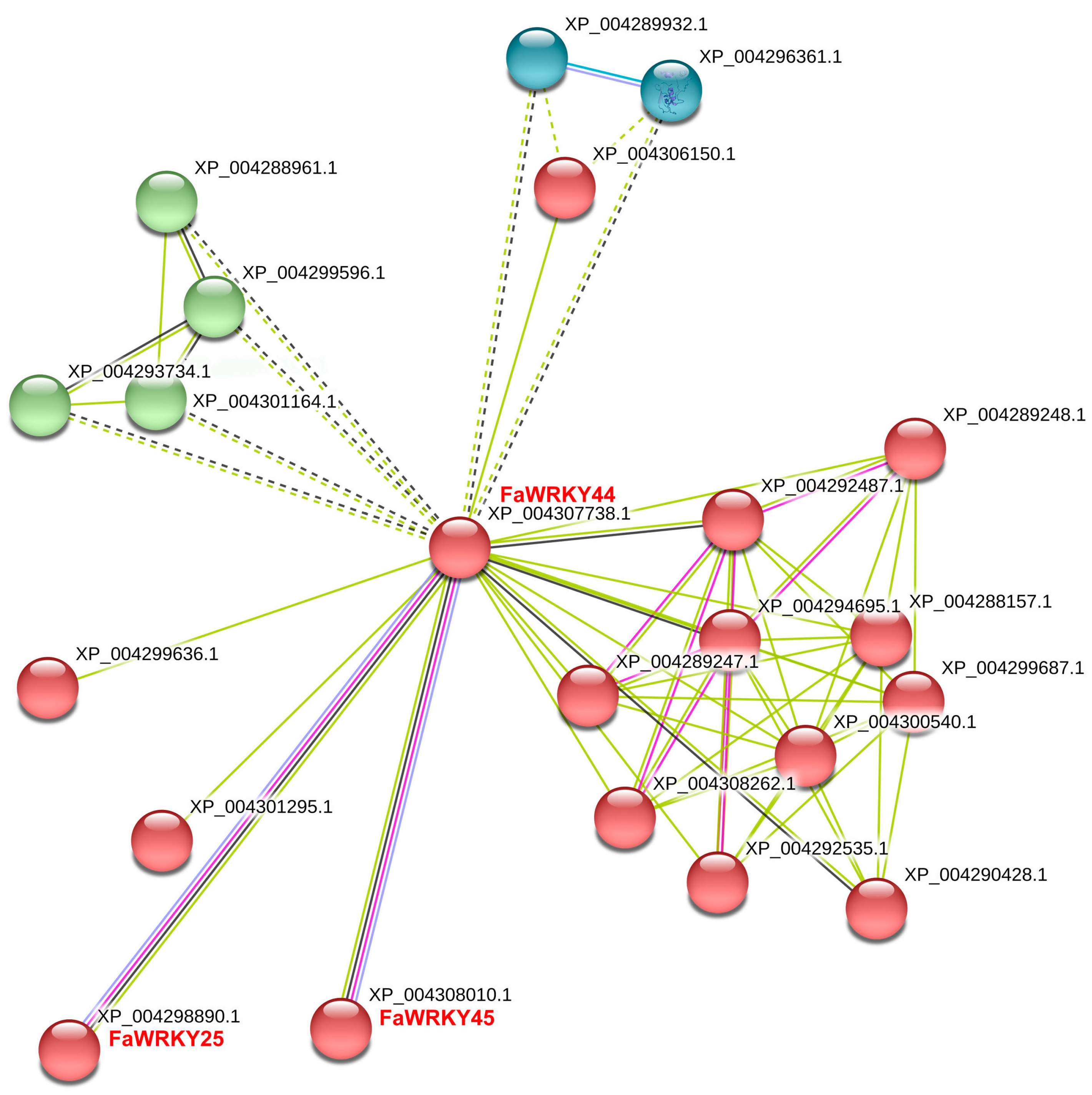 Plants 13 02822 g004