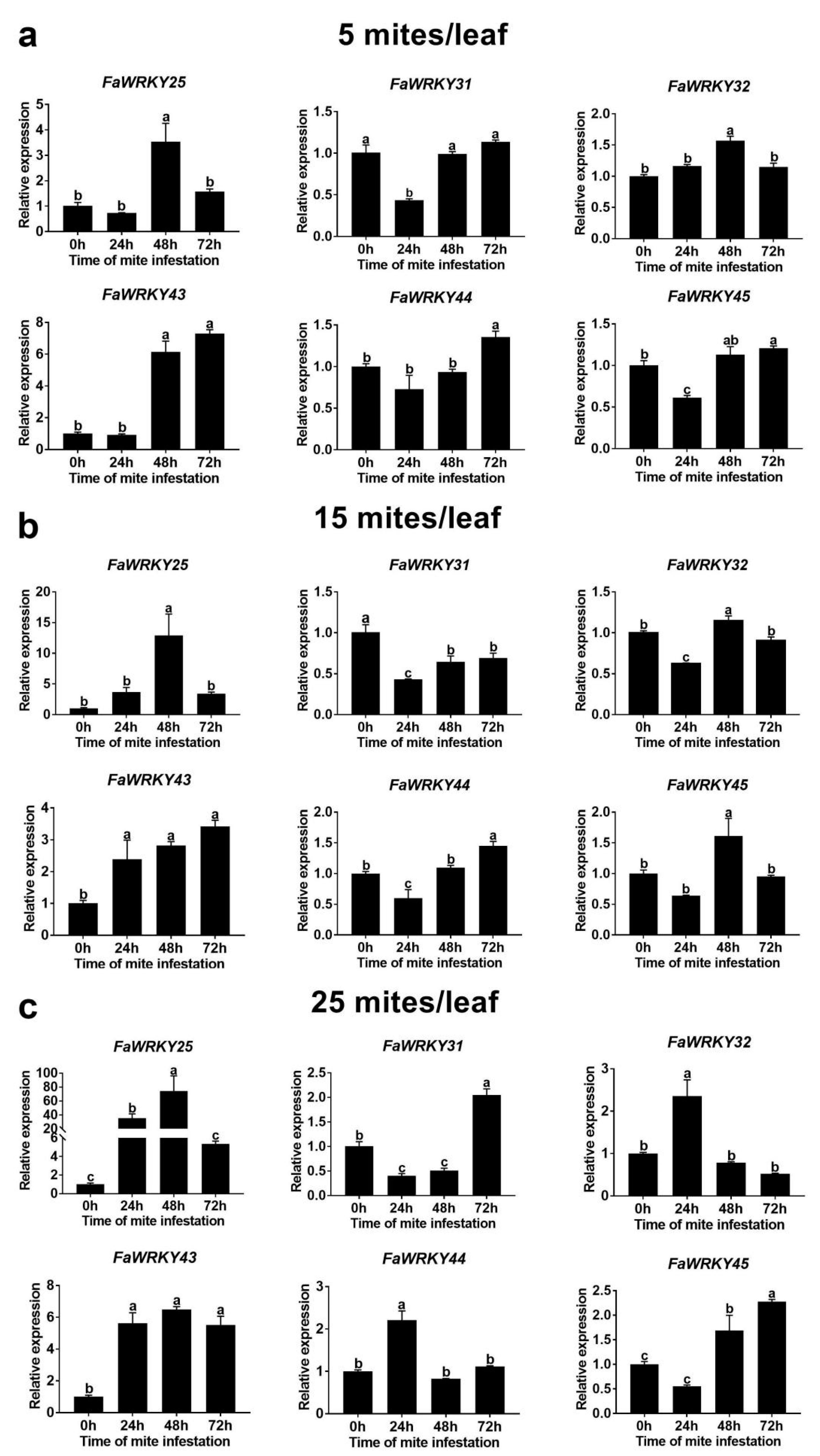 Plants 13 02822 g006