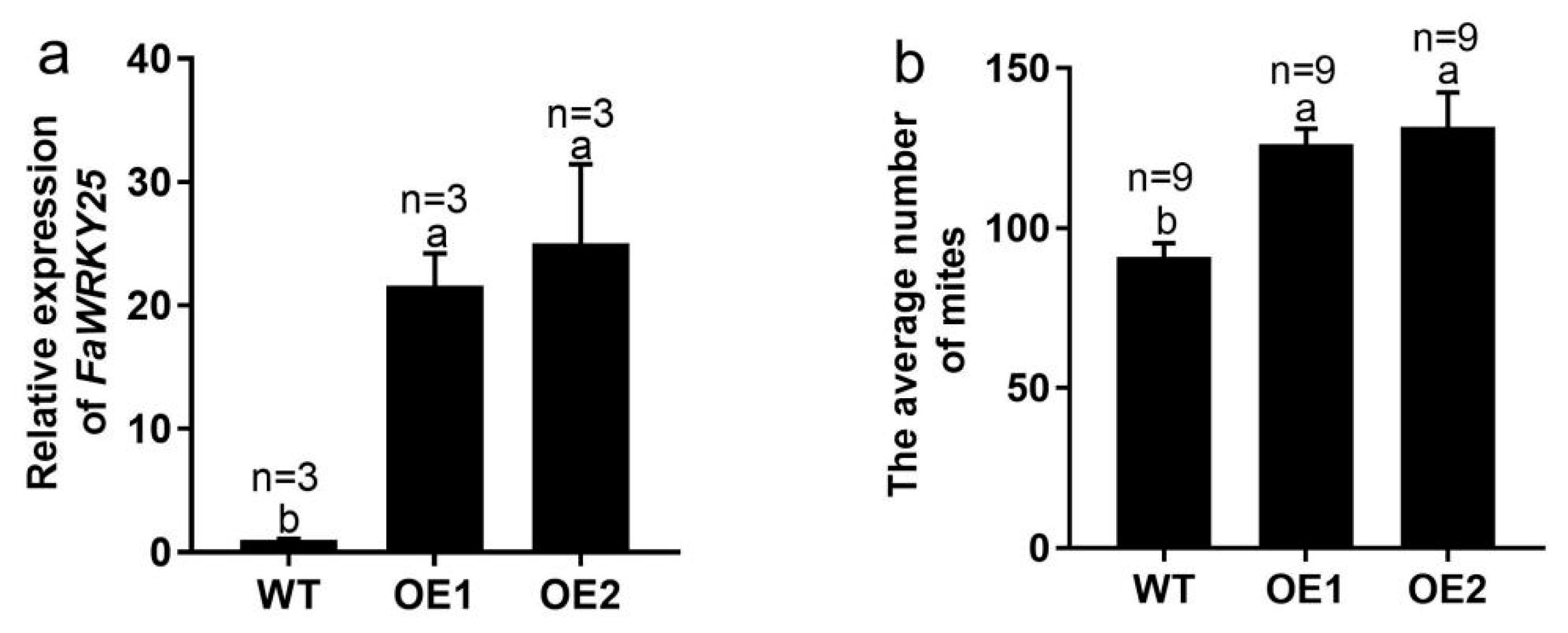 Plants 13 02822 g008