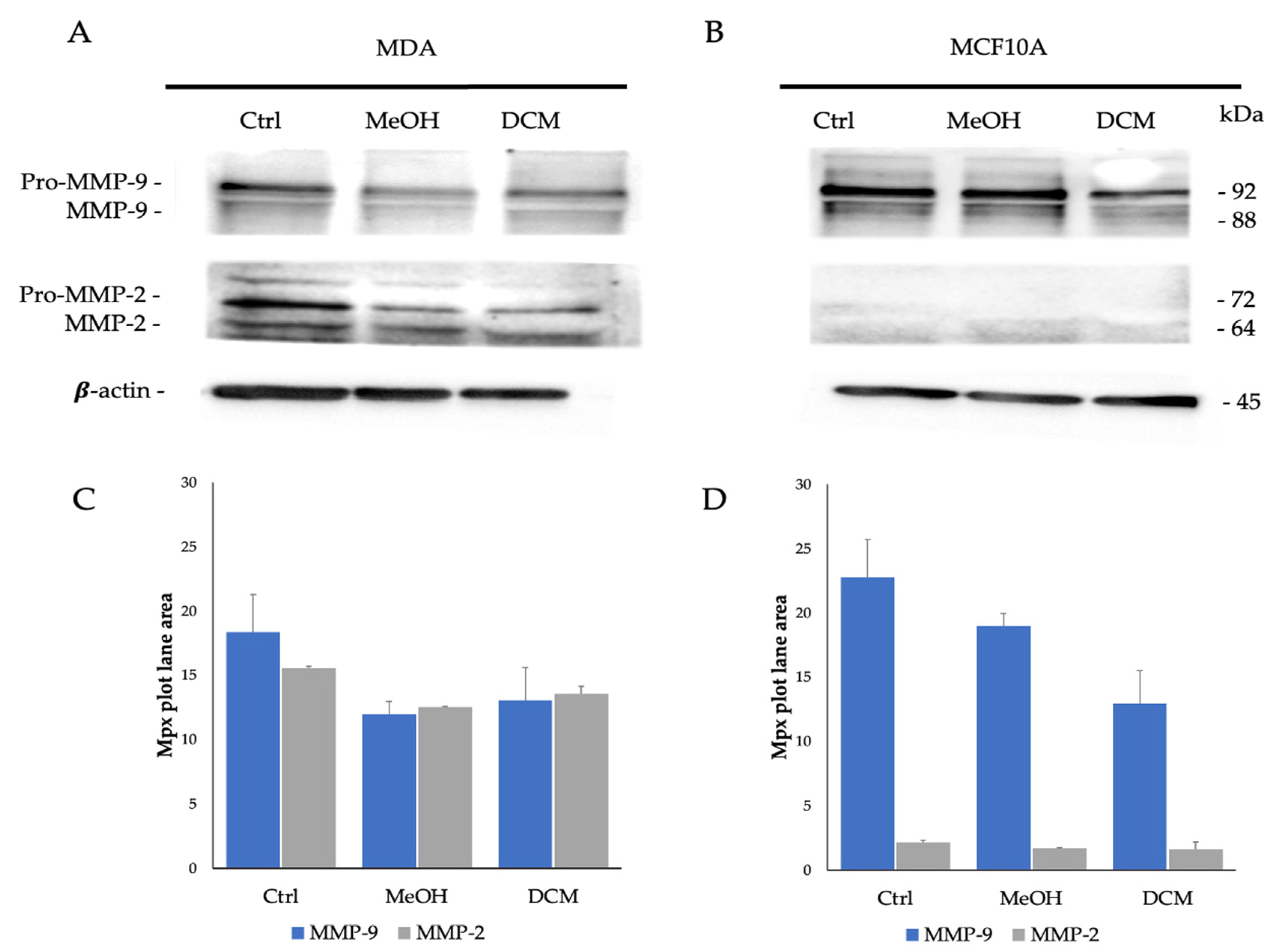 Plants 13 02829 g003