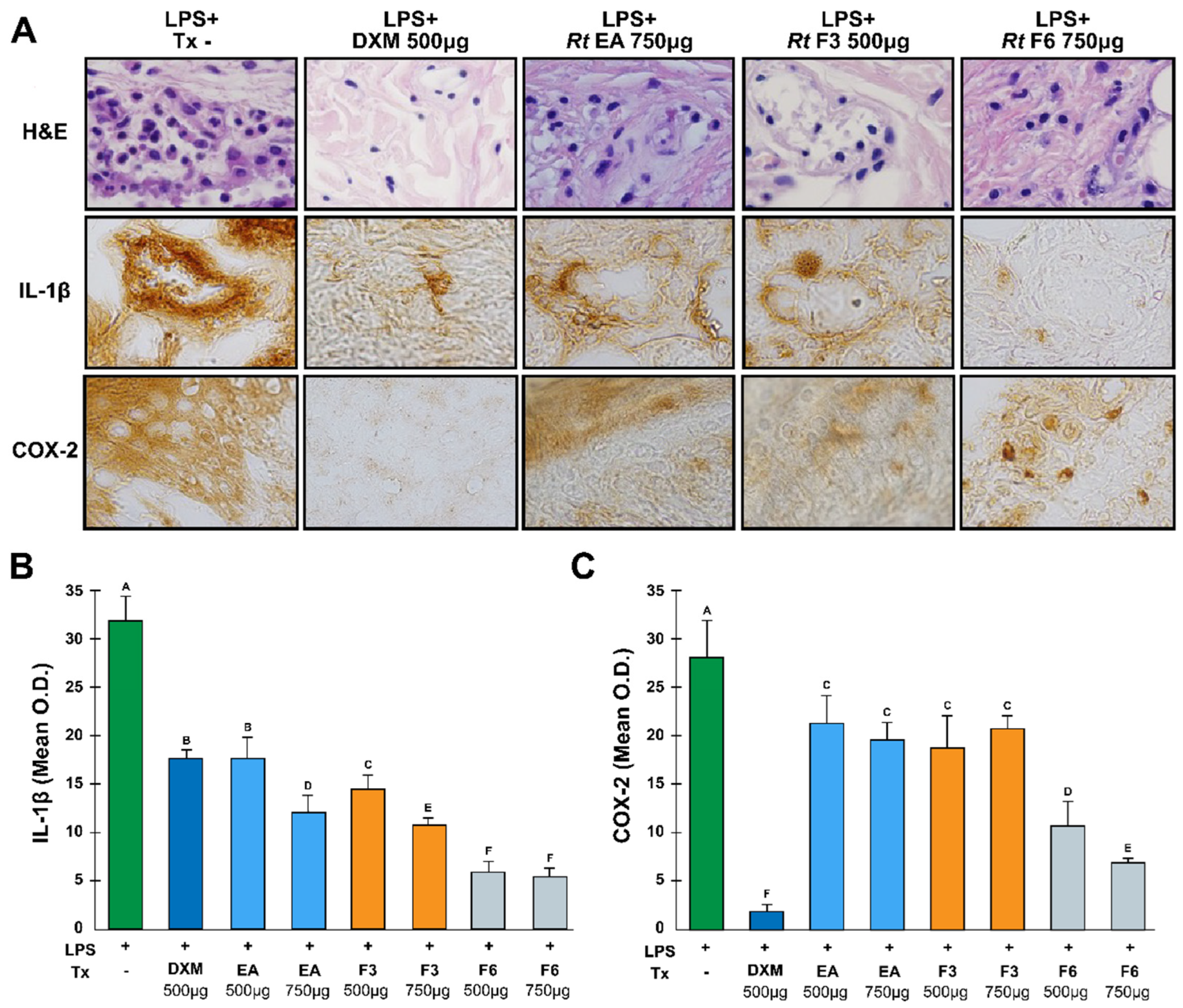 Plants 13 02840 g004