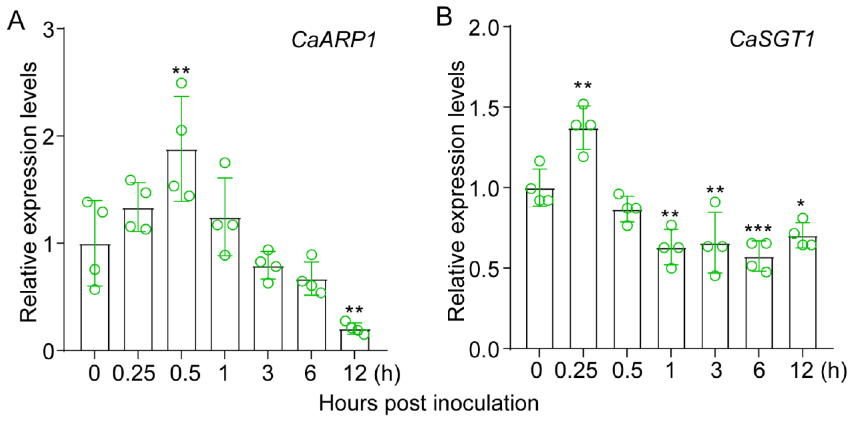 Plants 13 02849 g003