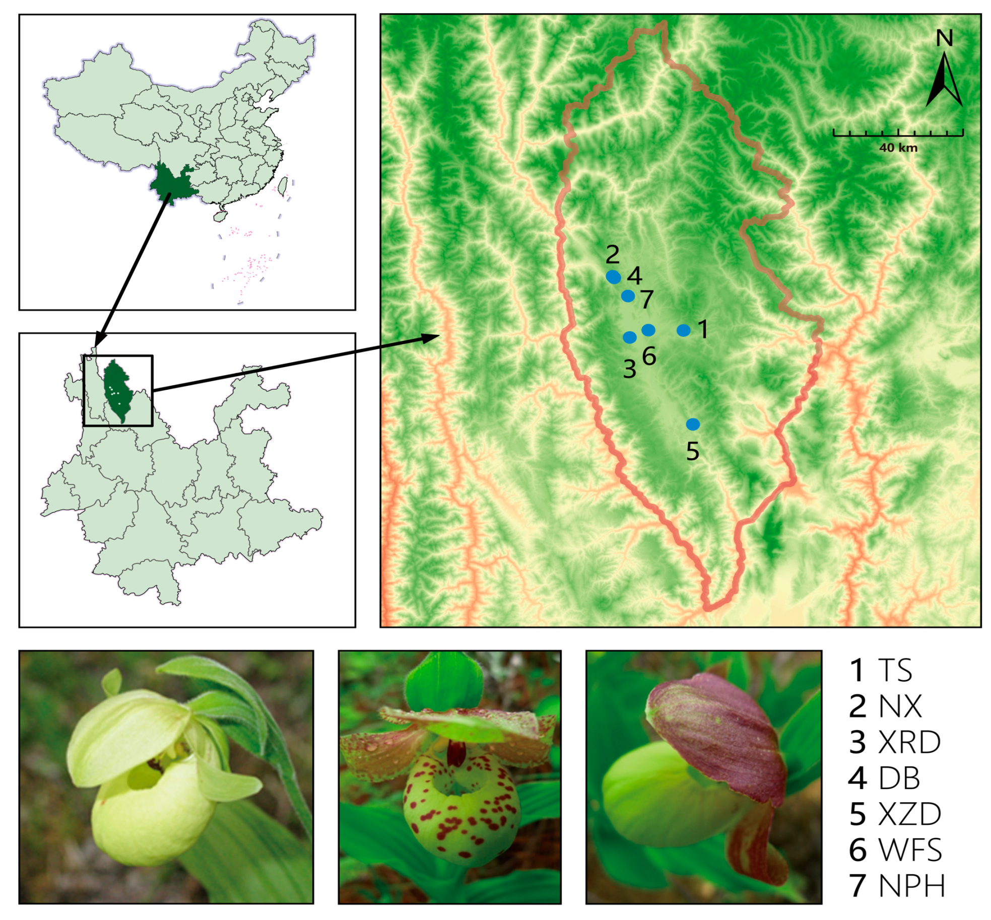 Plants 13 02851 g004 Plants 13 02851 g004