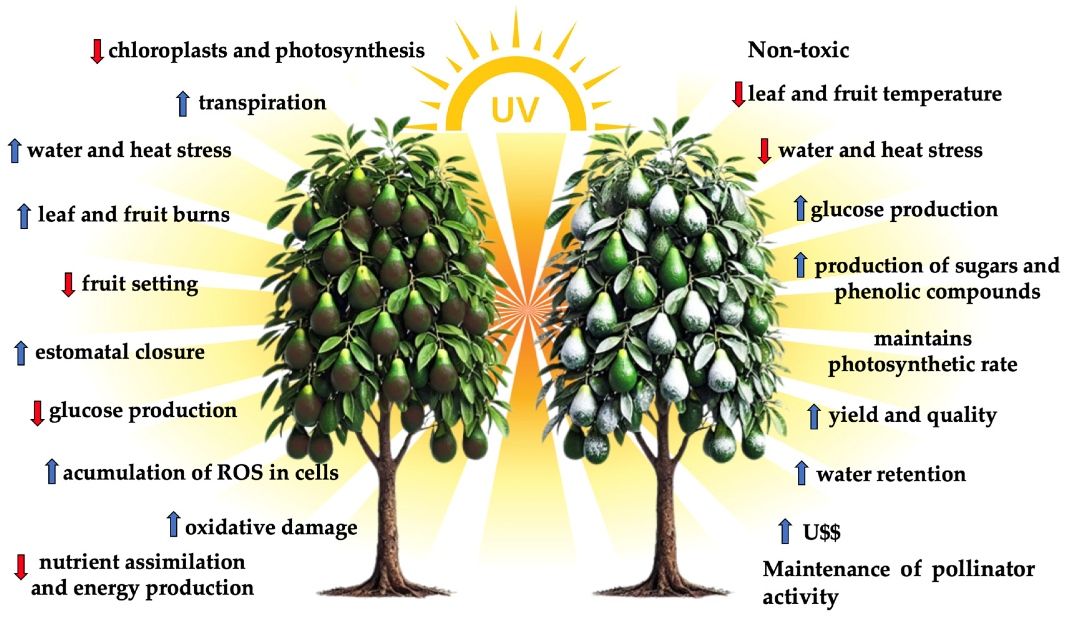 Plants 13 02854 g001