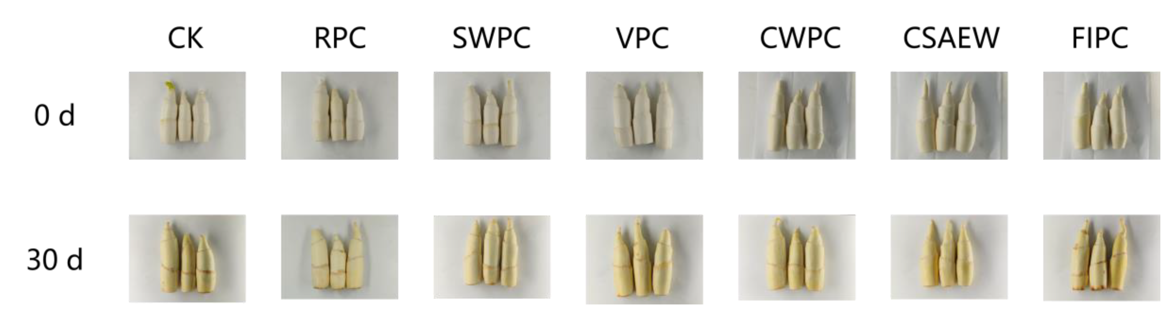 Plants 13 02856 g004