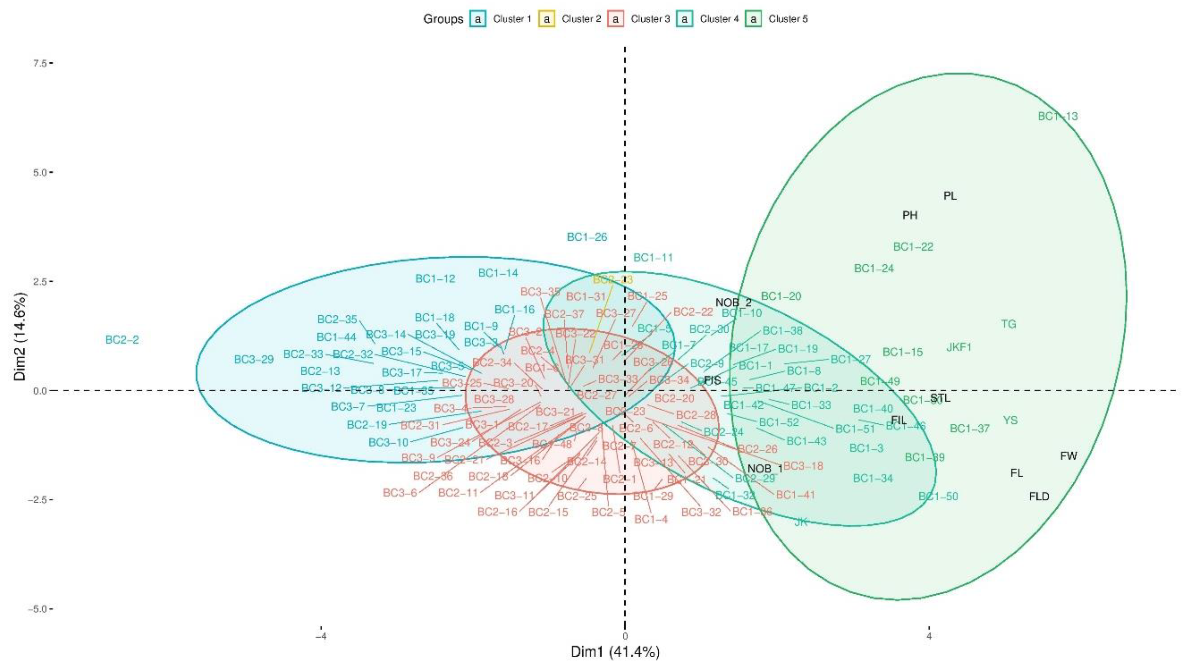 Plants 13 02863 g002