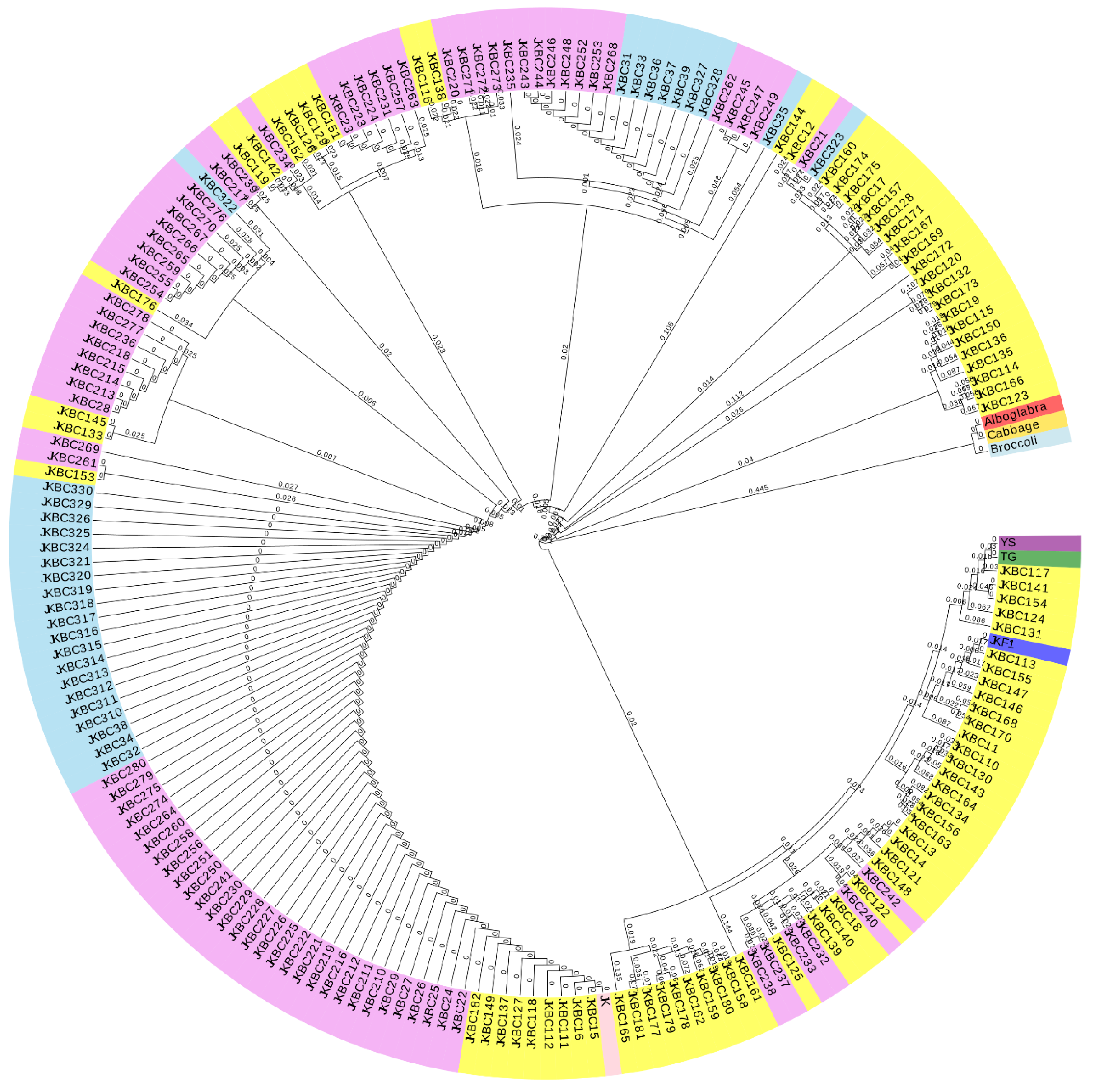 Plants 13 02863 g004