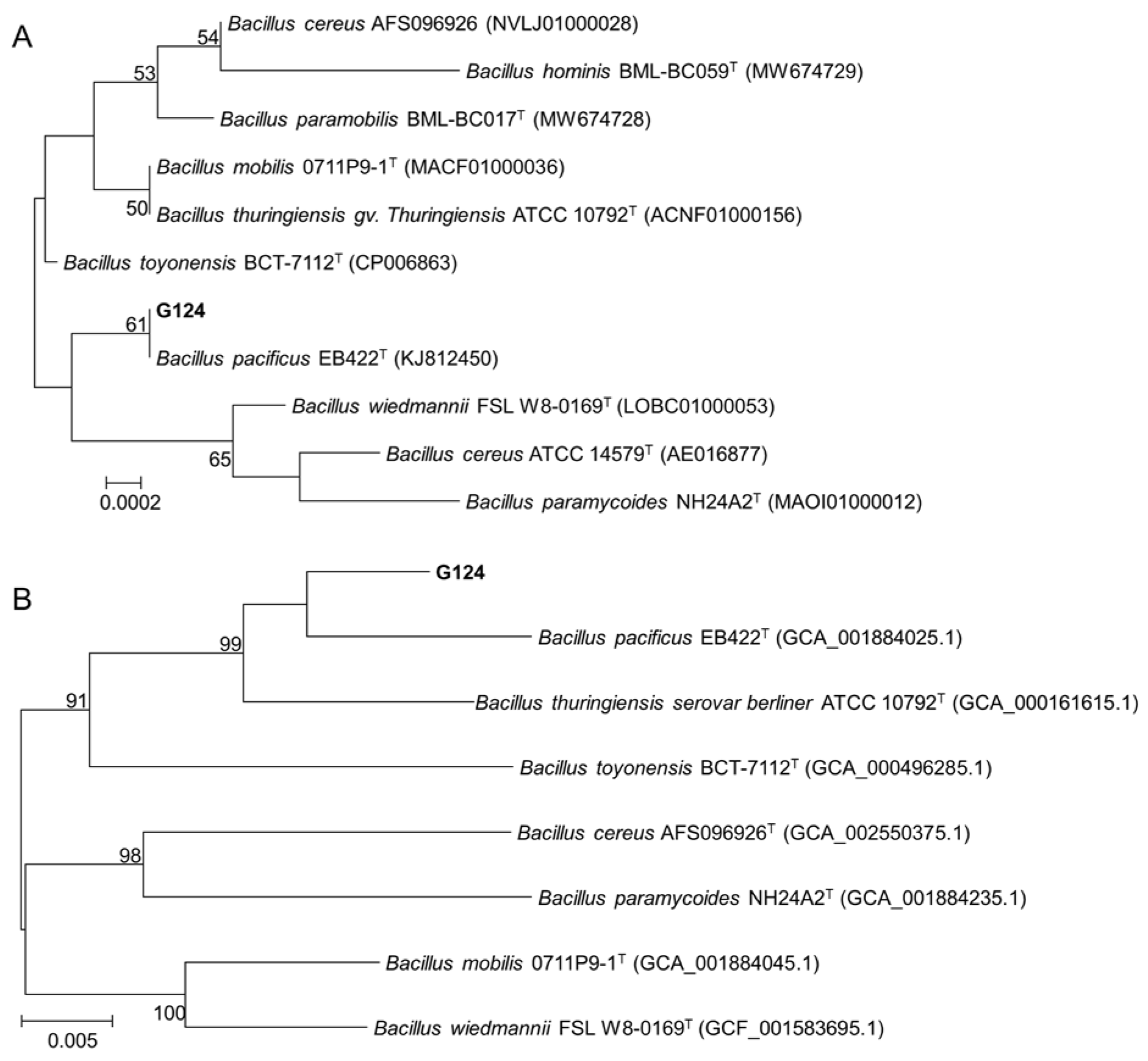 Plants 13 02864 g002