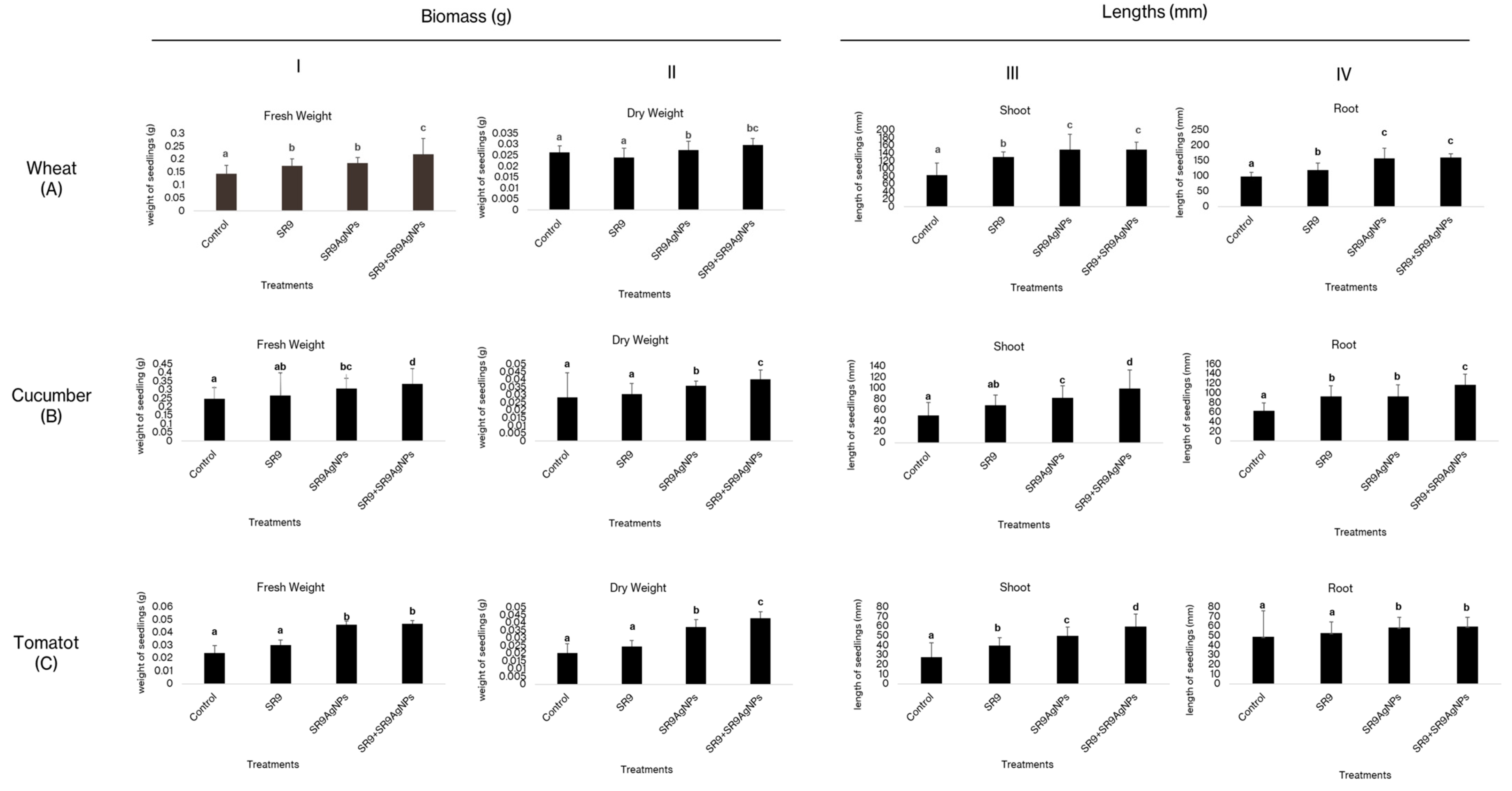 Plants 13 02875 g004