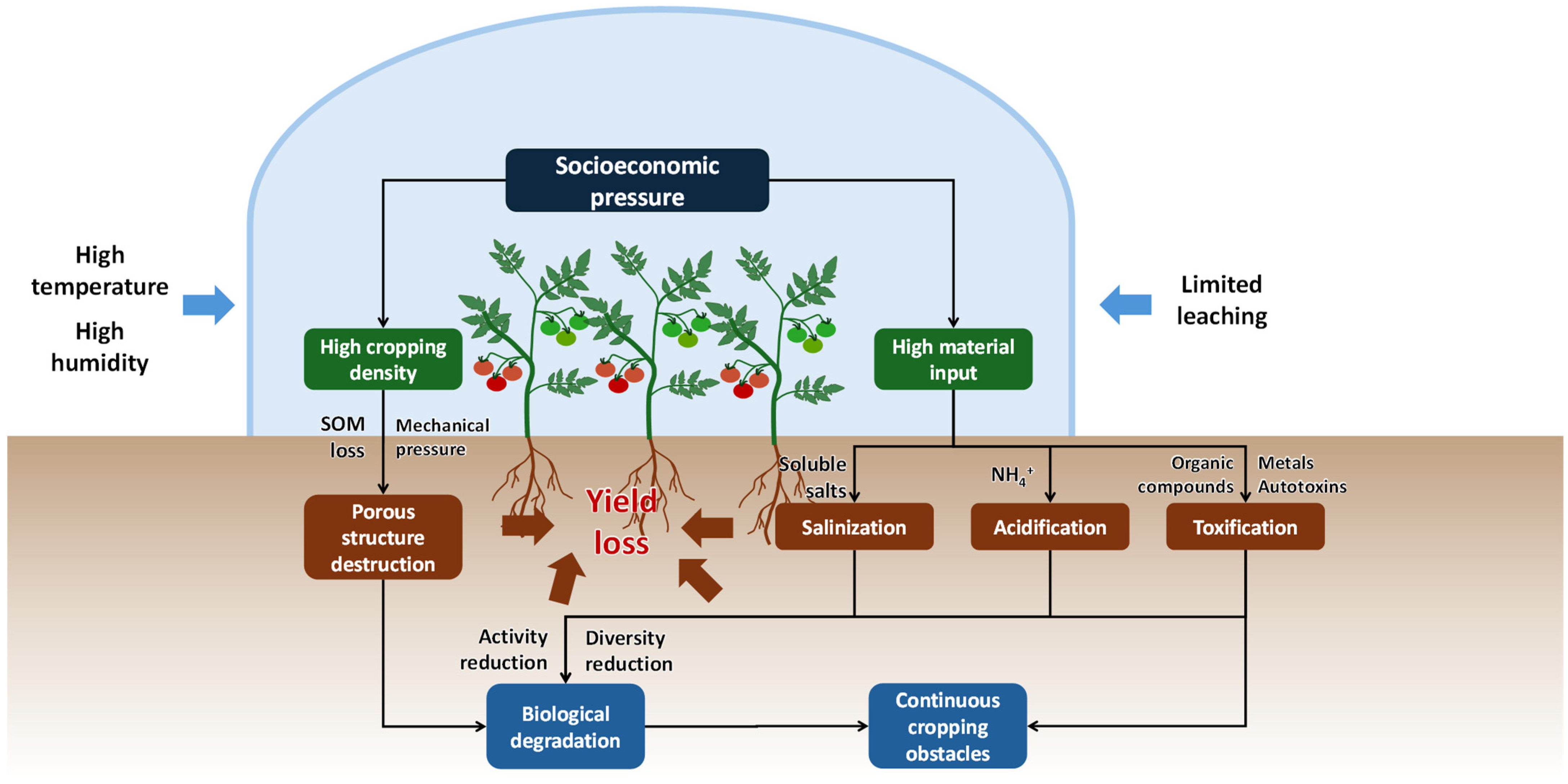 Plants 13 02885 g001 Plants 13 02885 g001