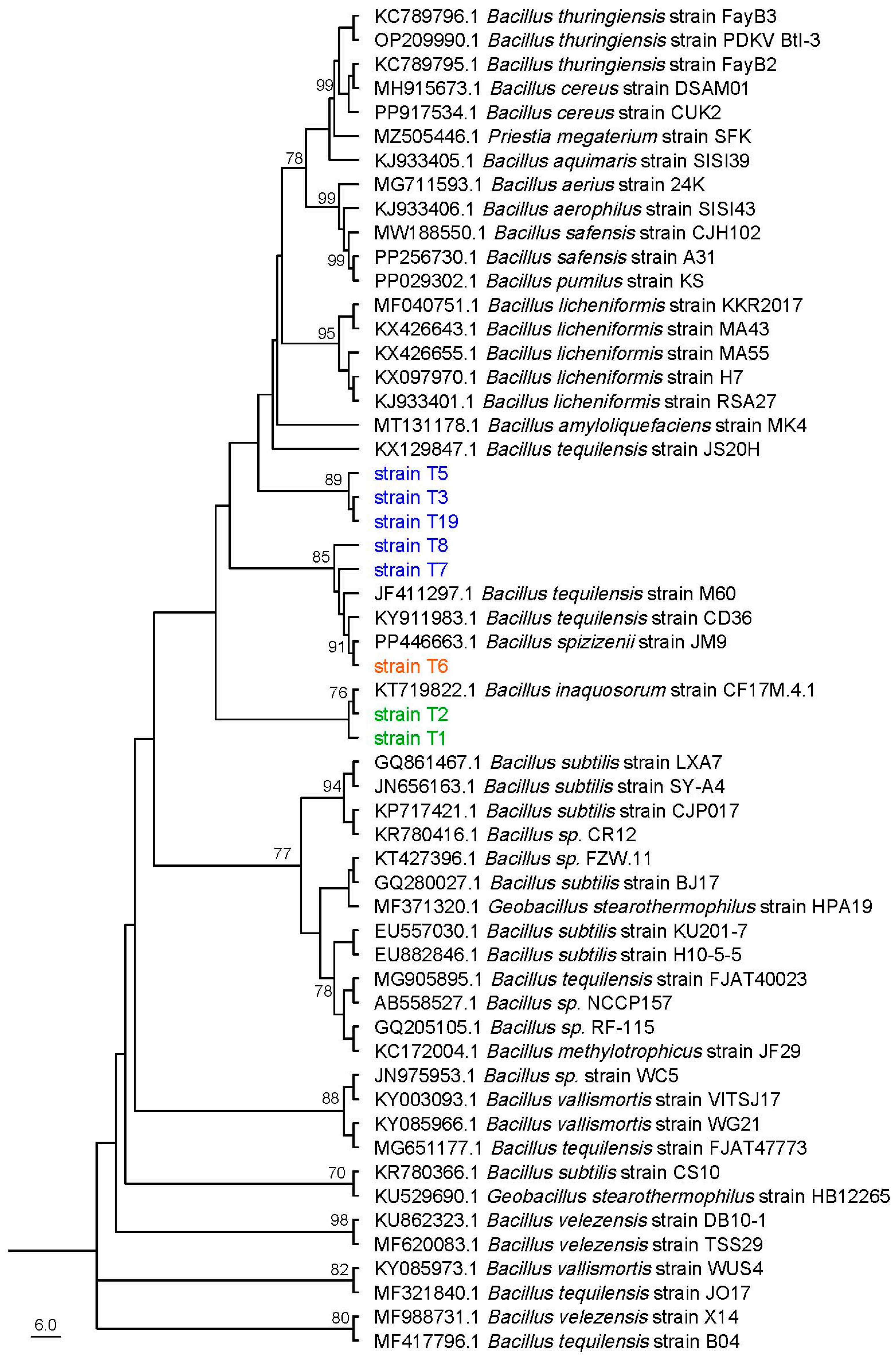 Plants 13 02889 g003