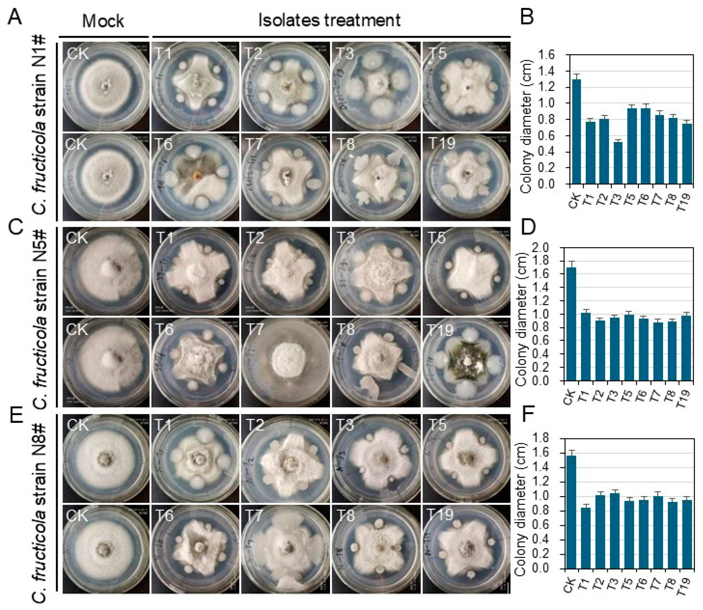 Plants 13 02889 g004