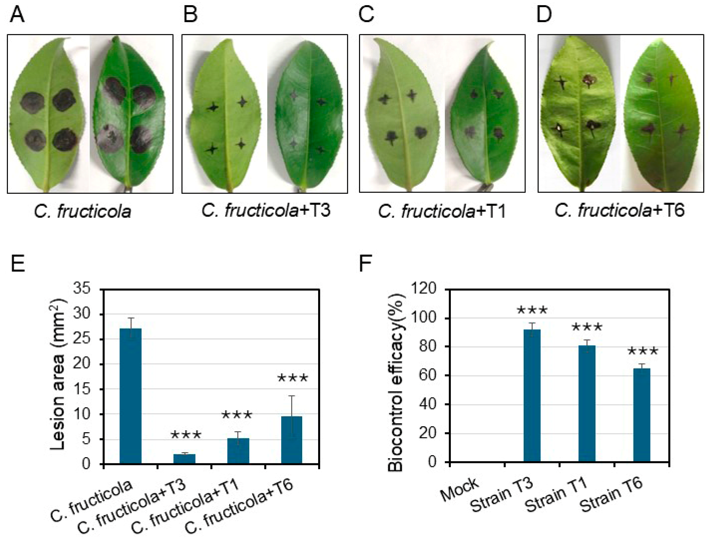 Plants 13 02889 g006