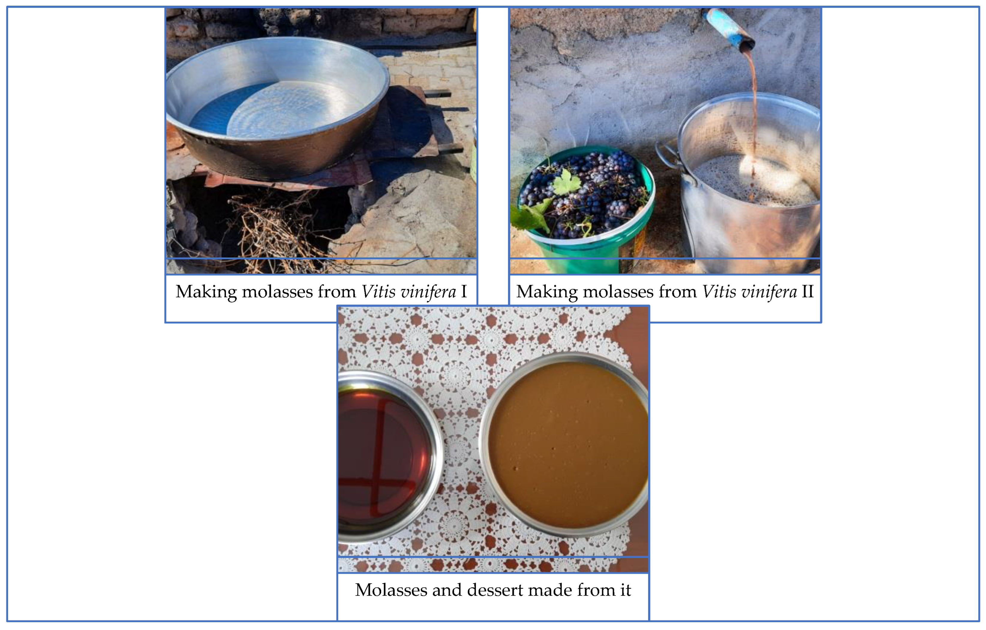 Plants 13 02895 g003