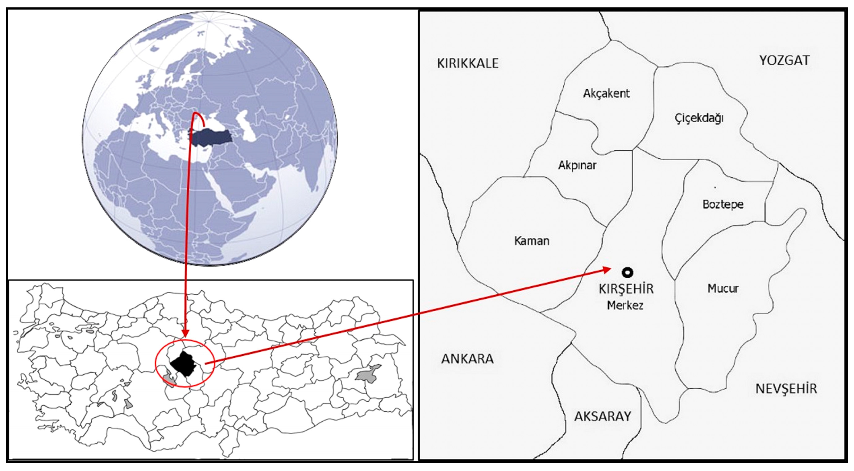 Plants 13 02895 g008