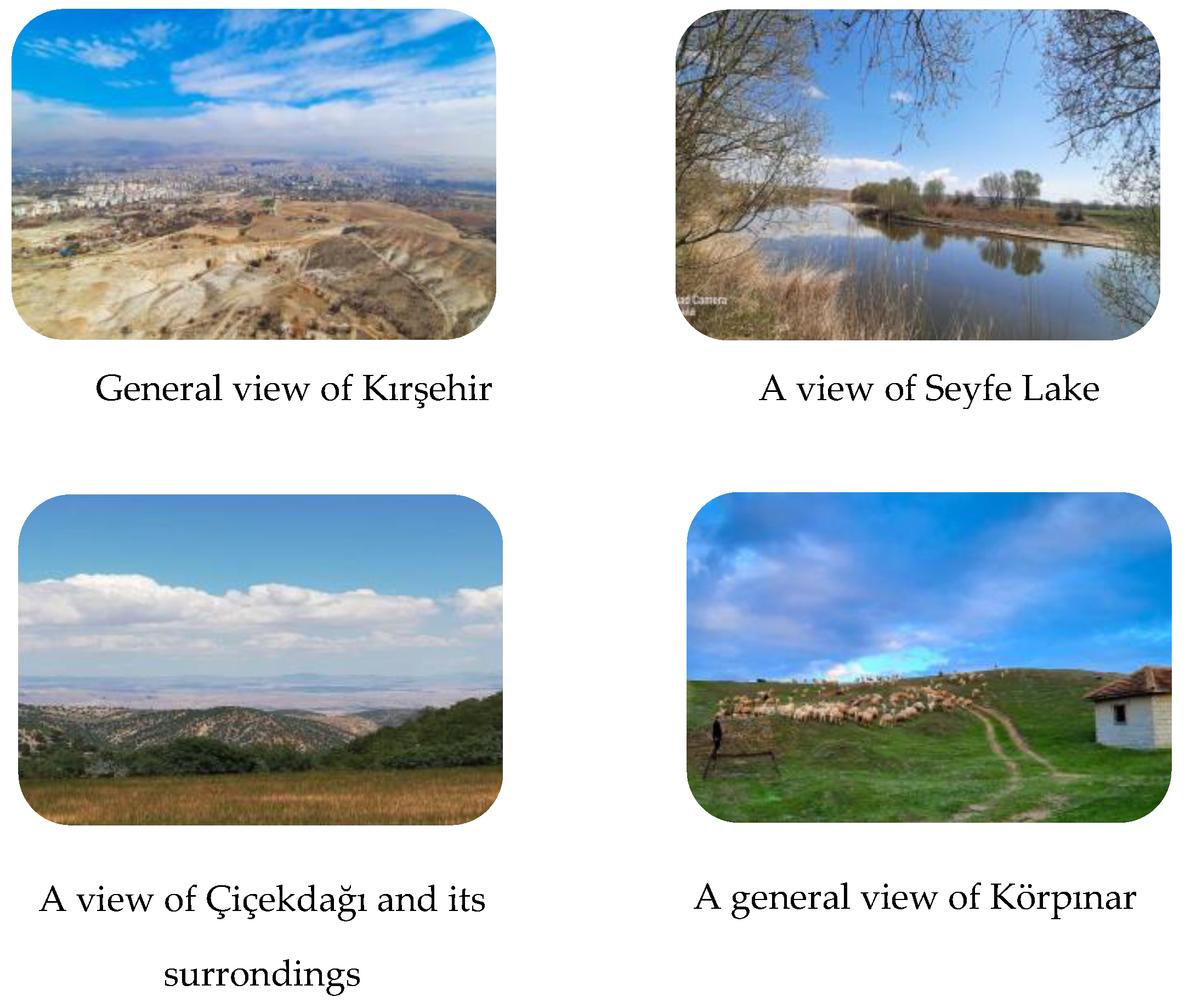 Plants 13 02895 g009